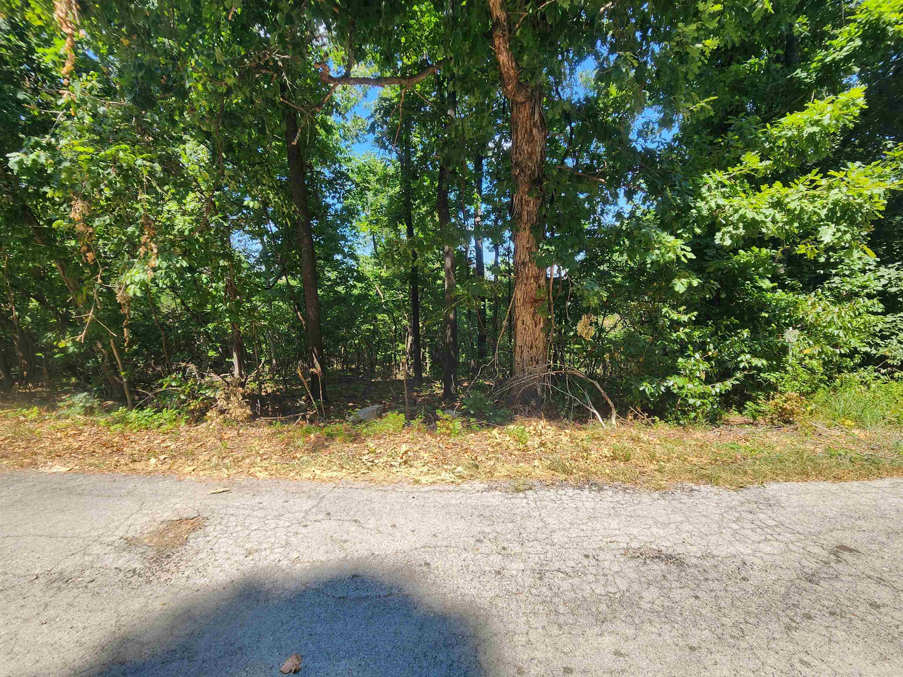 Photo 2 - Vacant Land for sale – L28, B6  Zia   Cherokee Village, AR