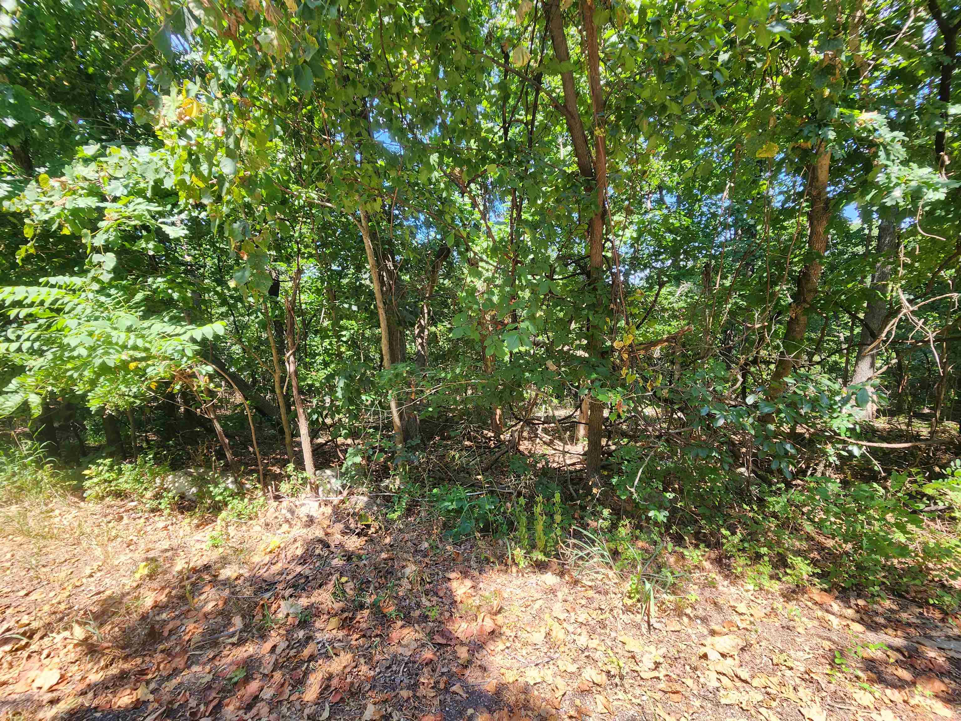 Photo 11 - Vacant Land for sale – L28, B6  Zia   Cherokee Village, AR