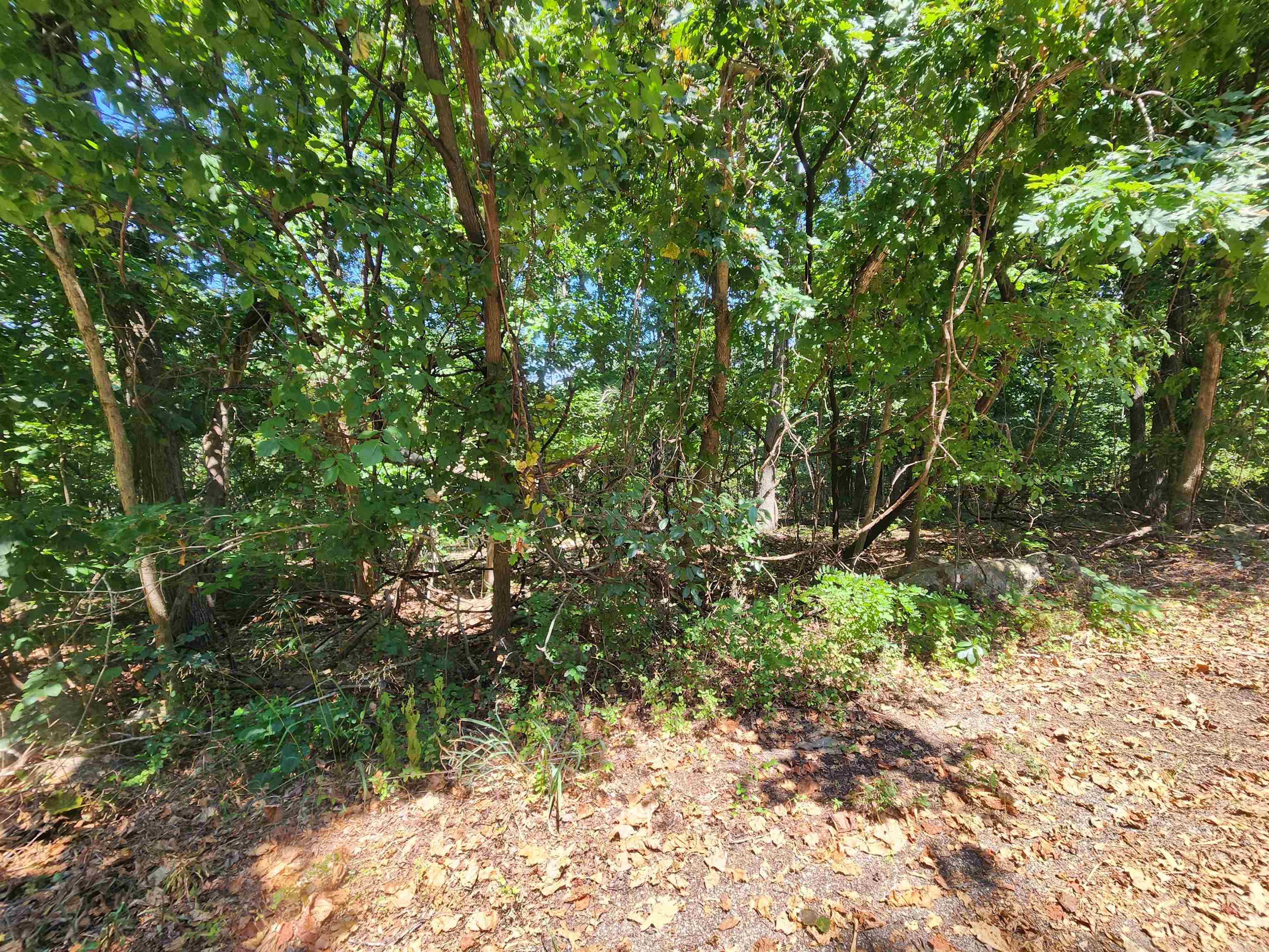 Photo 12 - Vacant Land for sale – L28, B6  Zia   Cherokee Village, AR
