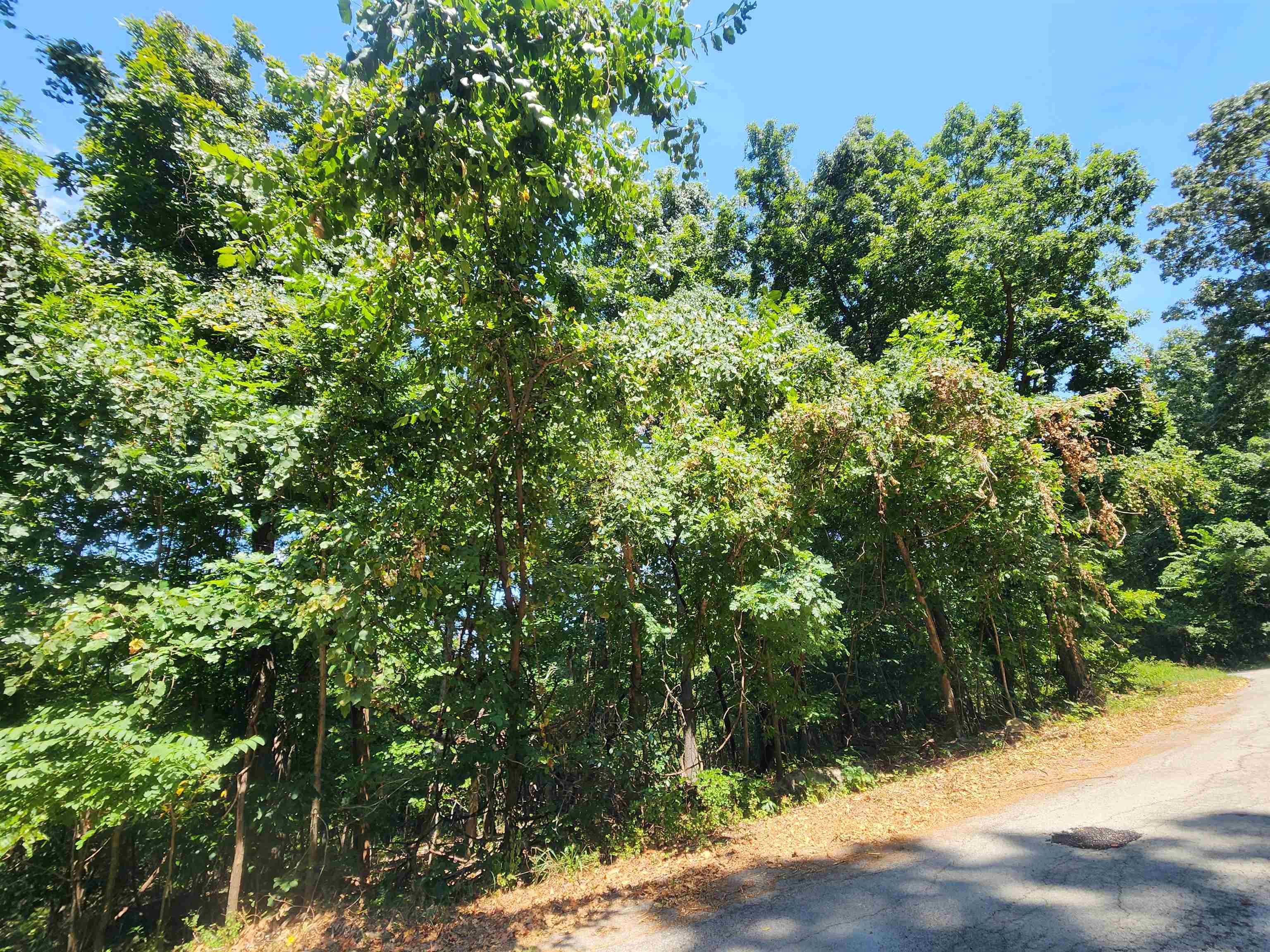 Photo 14 - Vacant Land for sale – L28, B6  Zia   Cherokee Village, AR