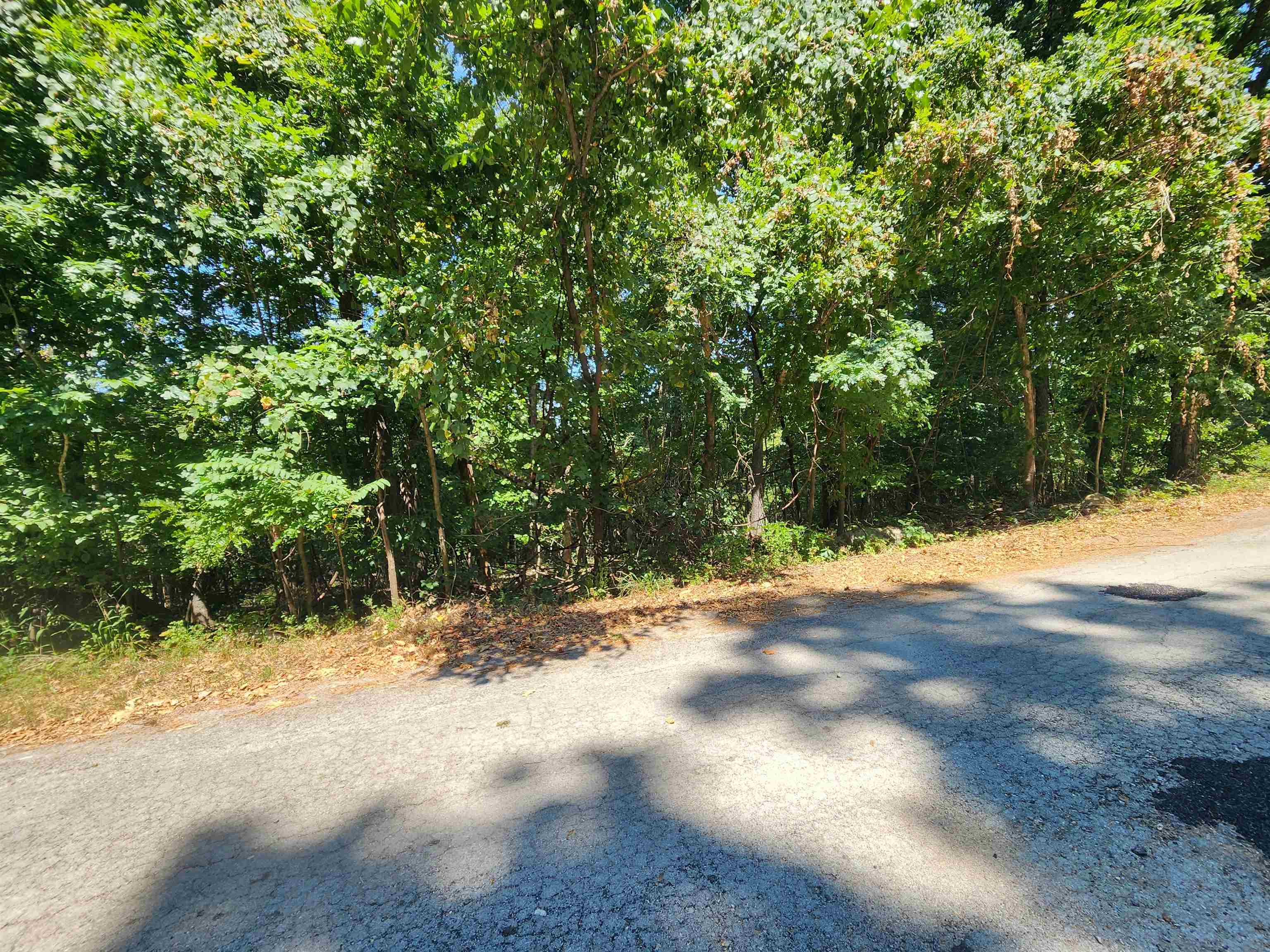 Photo 15 - Vacant Land for sale – L28, B6  Zia   Cherokee Village, AR