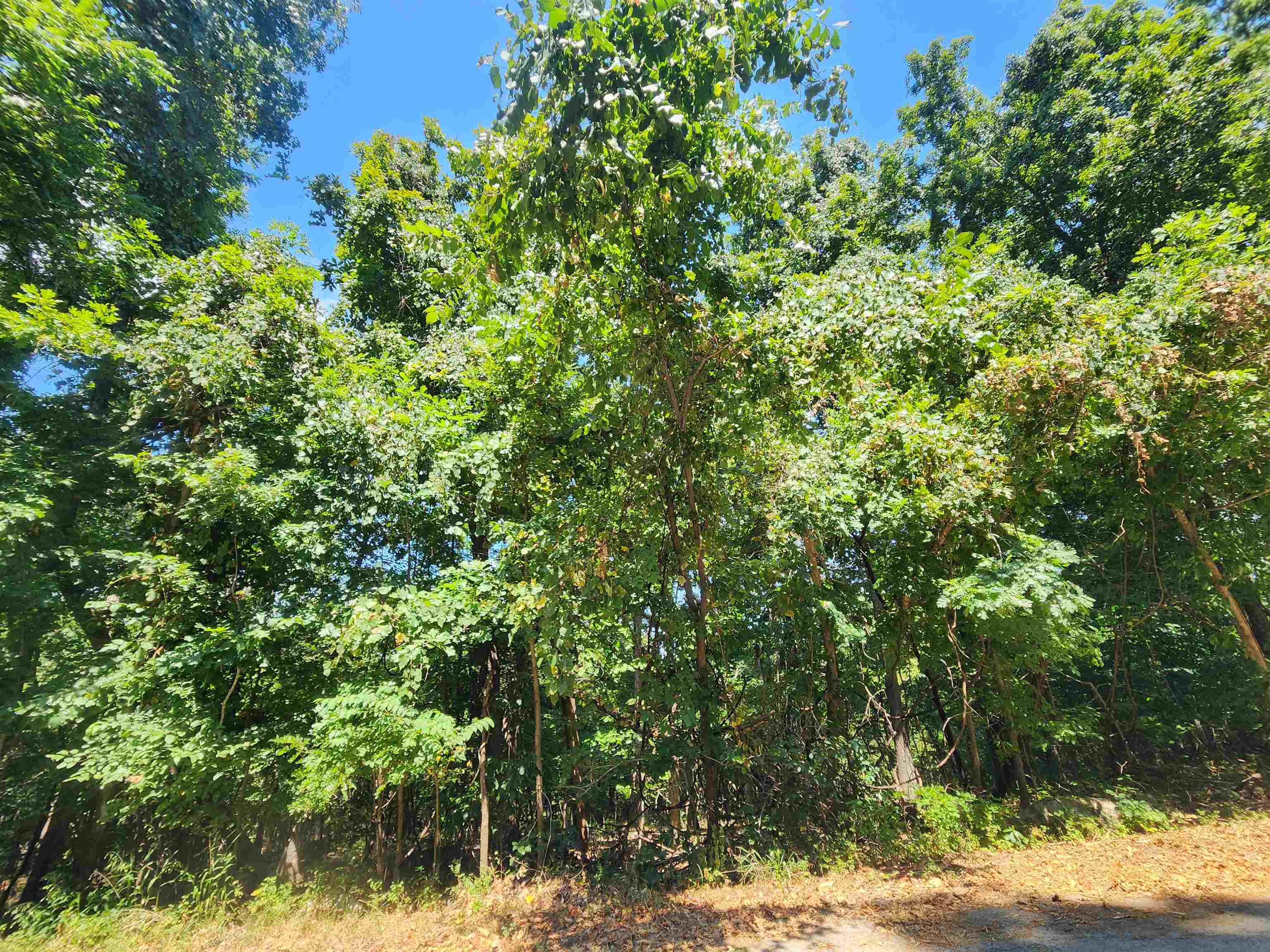 Photo 16 - Vacant Land for sale – L28, B6  Zia   Cherokee Village, AR