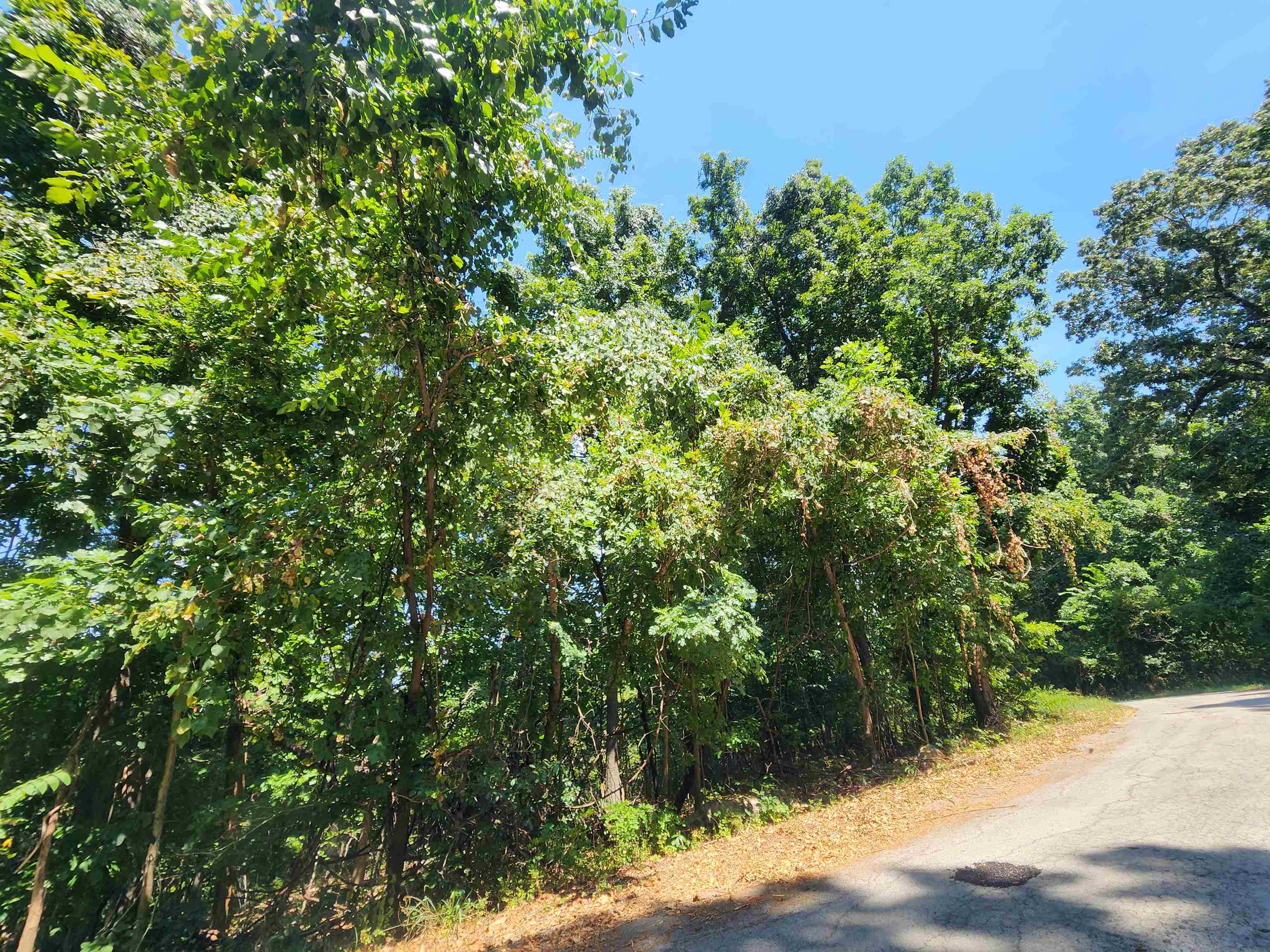 Photo 17 - Vacant Land for sale – L28, B6  Zia   Cherokee Village, AR