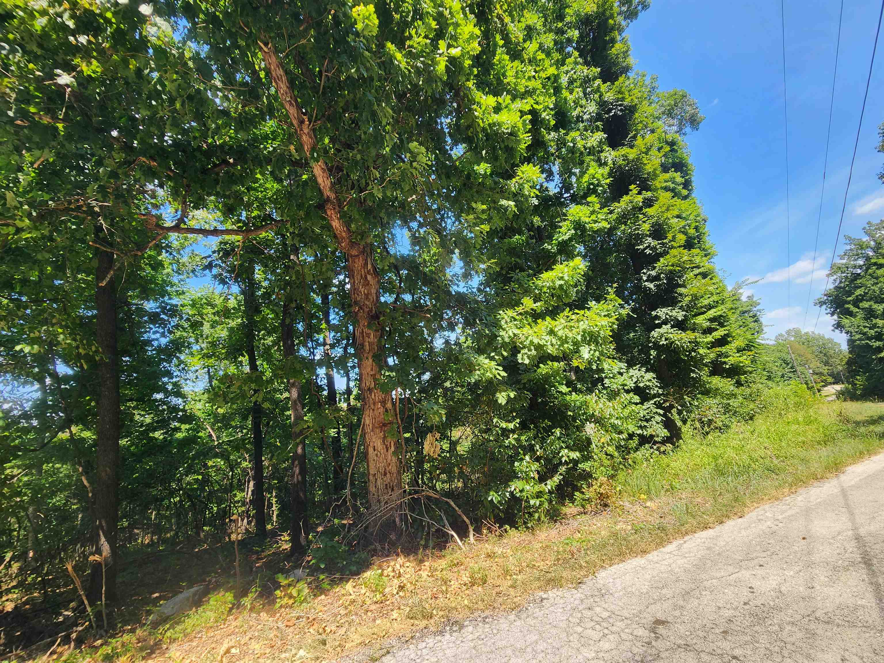 Photo 4 - Vacant Land for sale – L28, B6  Zia   Cherokee Village, AR