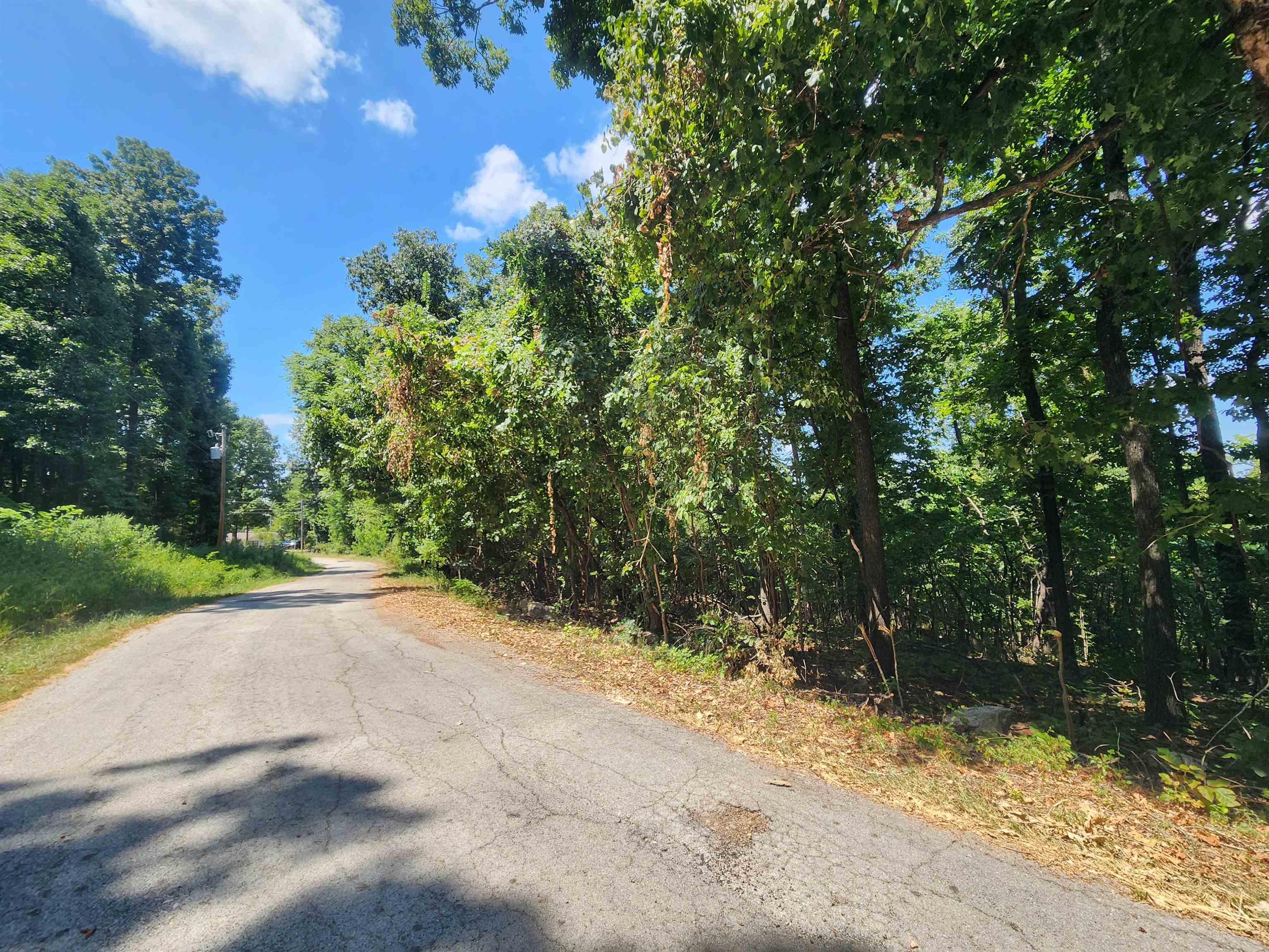 Photo 5 - Vacant Land for sale – L28, B6  Zia   Cherokee Village, AR