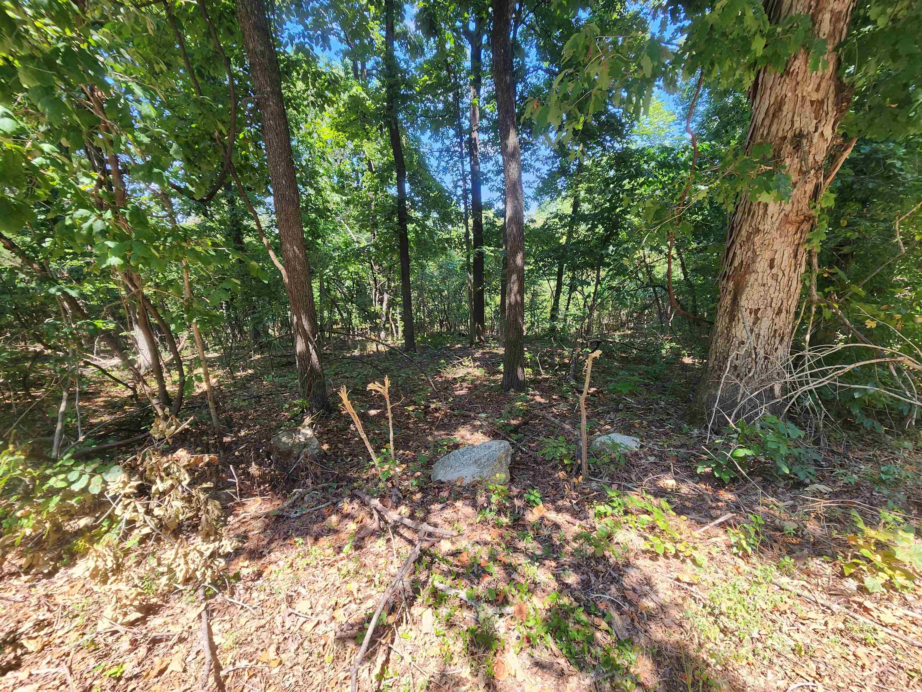 Photo 6 - Vacant Land for sale – L28, B6  Zia   Cherokee Village, AR