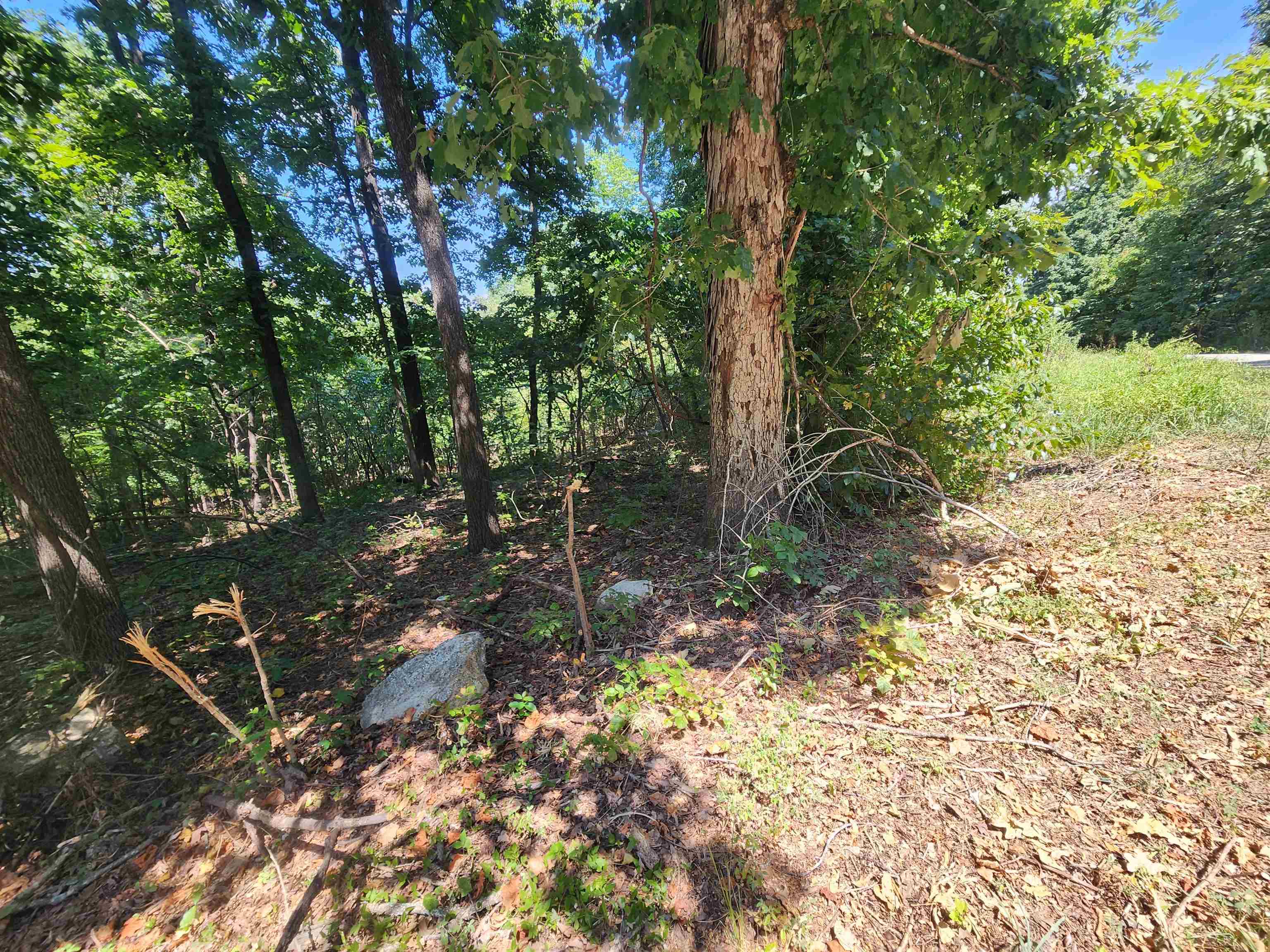 Photo 7 - Vacant Land for sale – L28, B6  Zia   Cherokee Village, AR