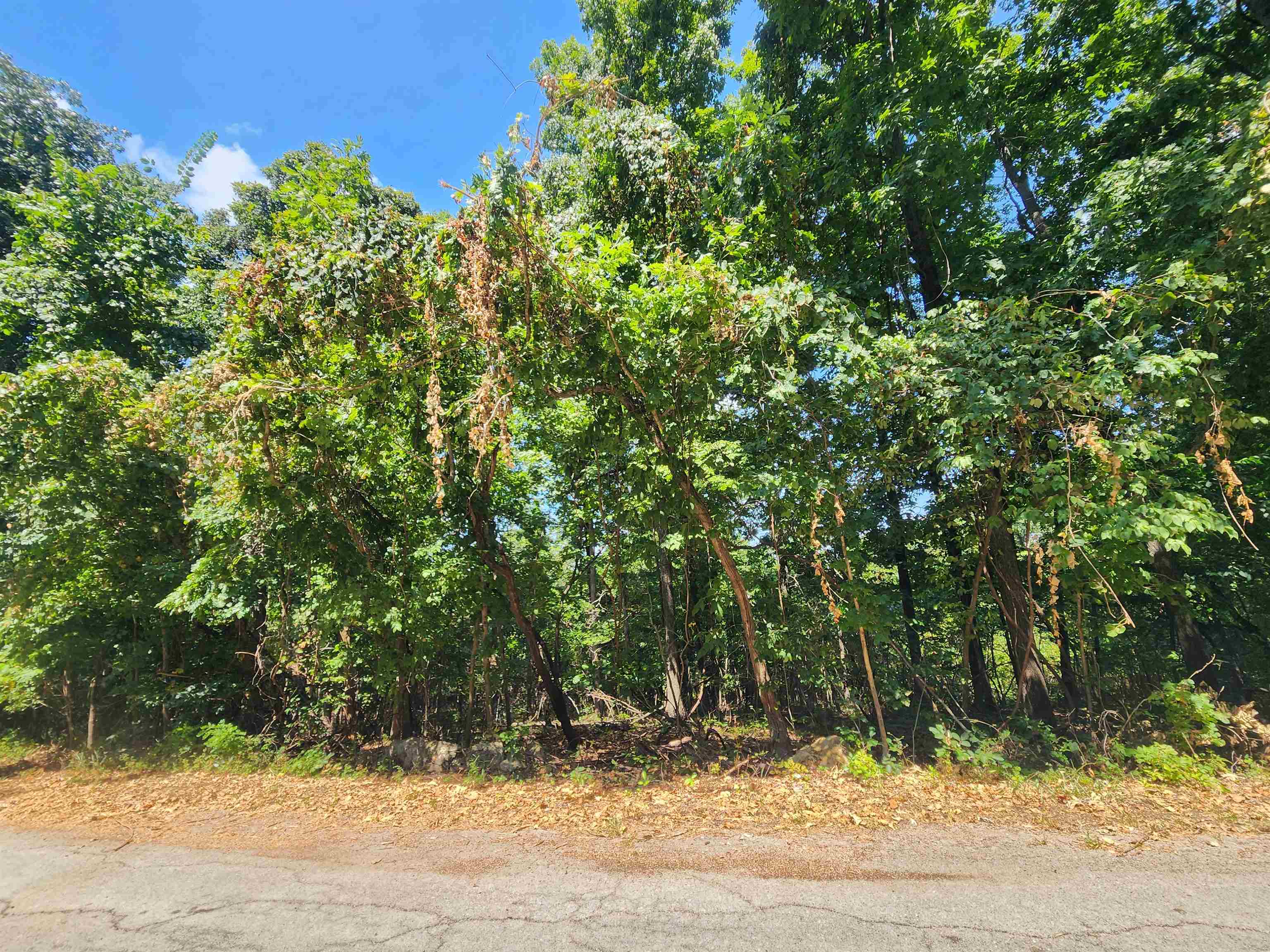 Photo 8 - Vacant Land for sale – L28, B6  Zia   Cherokee Village, AR