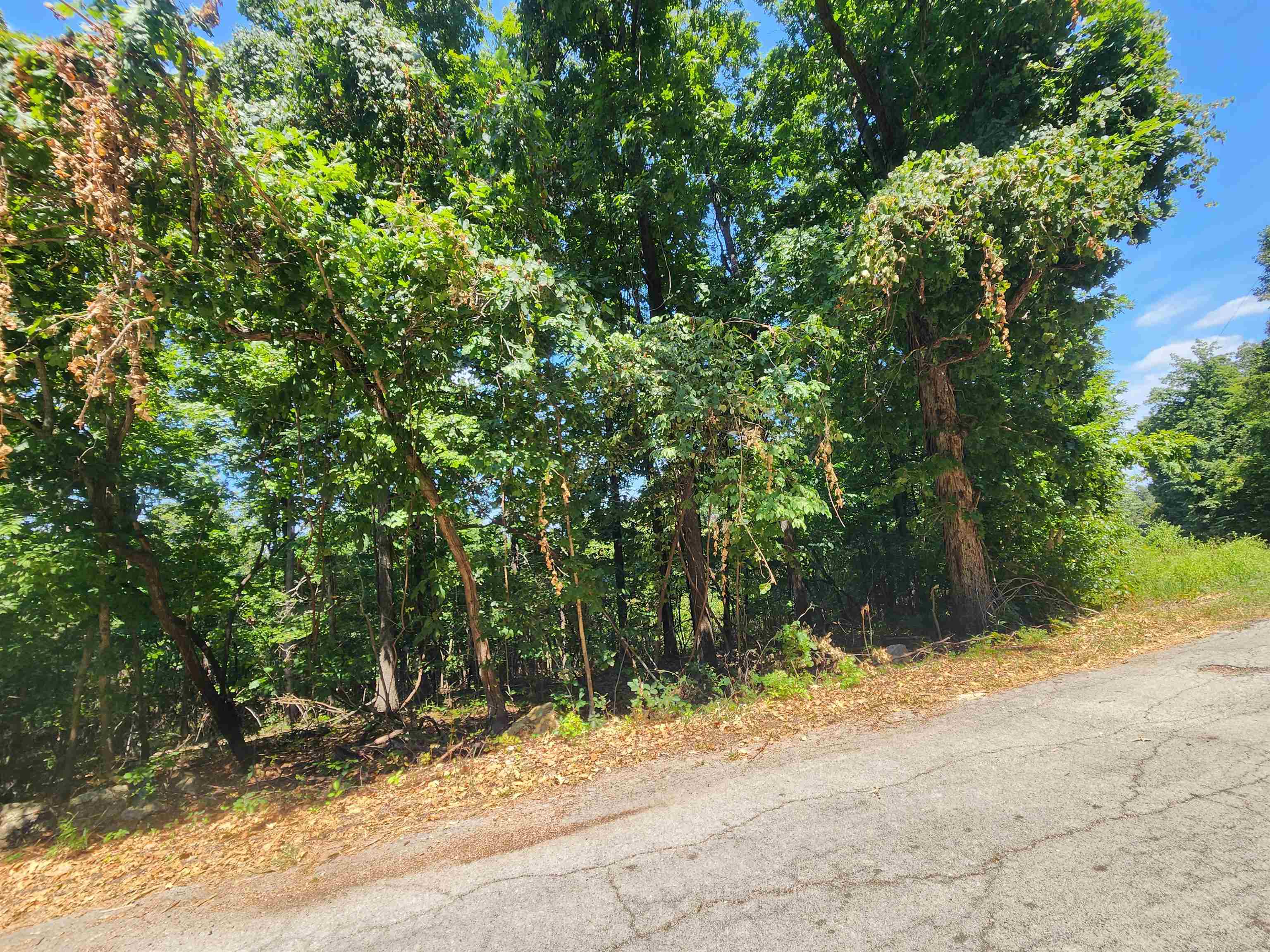 Photo 9 - Vacant Land for sale – L28, B6  Zia   Cherokee Village, AR