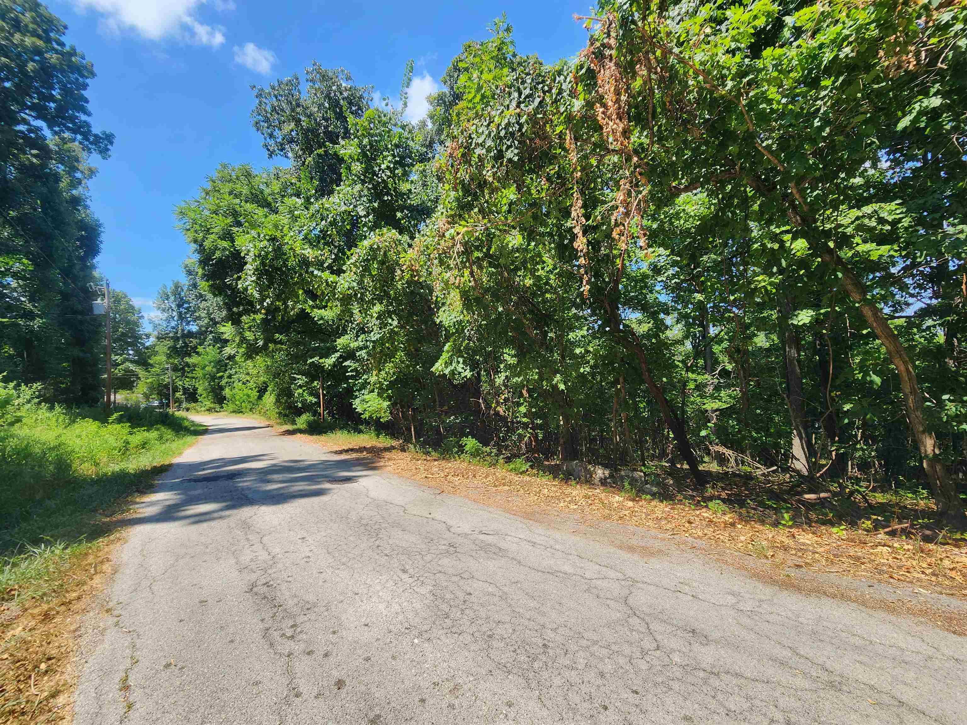 Photo 10 - Vacant Land for sale – L28, B6  Zia   Cherokee Village, AR