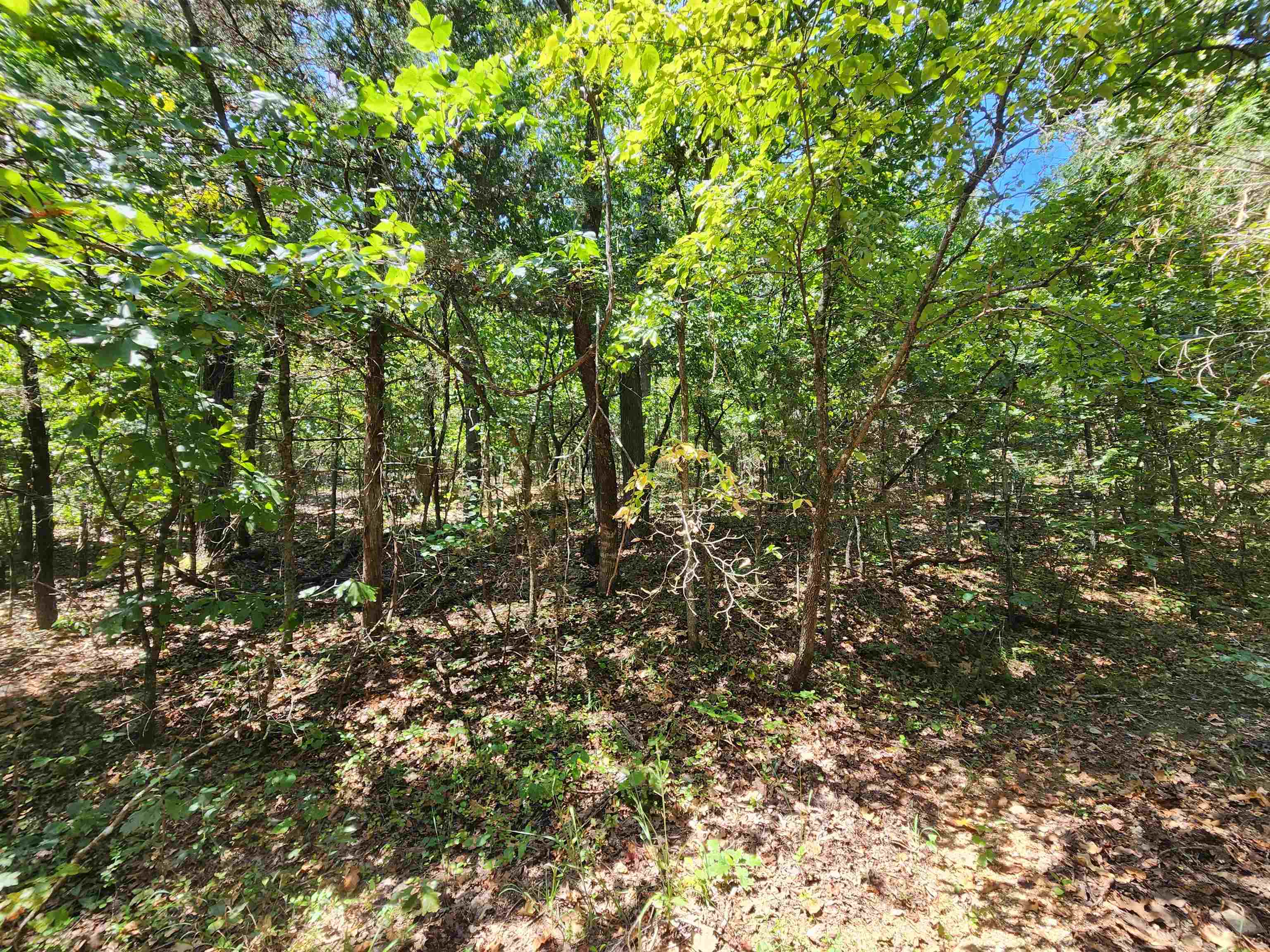 Vacant Land for sale – L-50, B-3  Lightning   Highland, AR