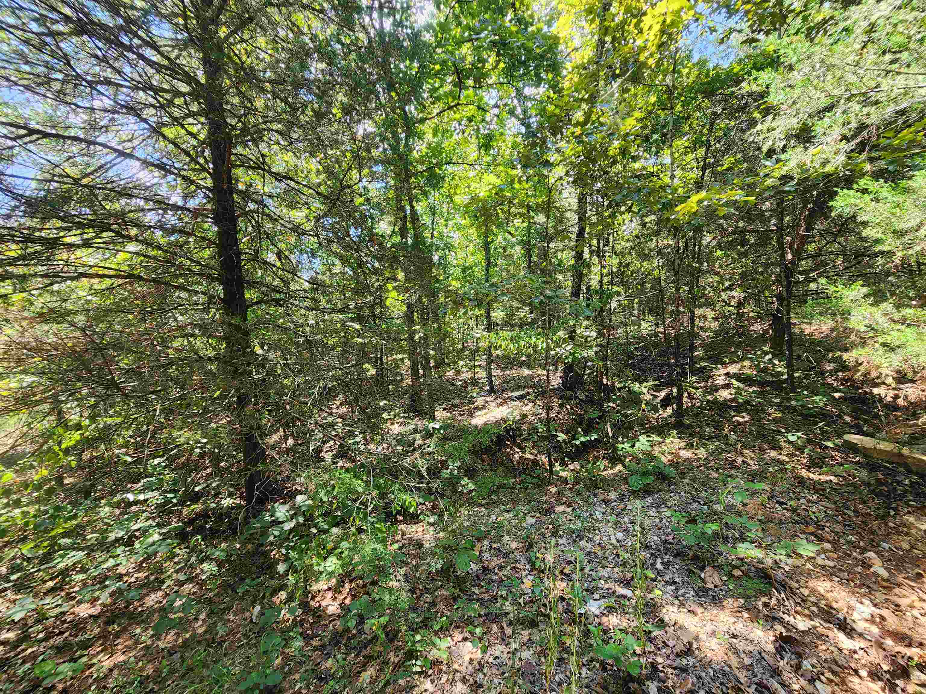 Photo 2 - Vacant Land for sale – L-50, B-3  Lightning   Highland, AR