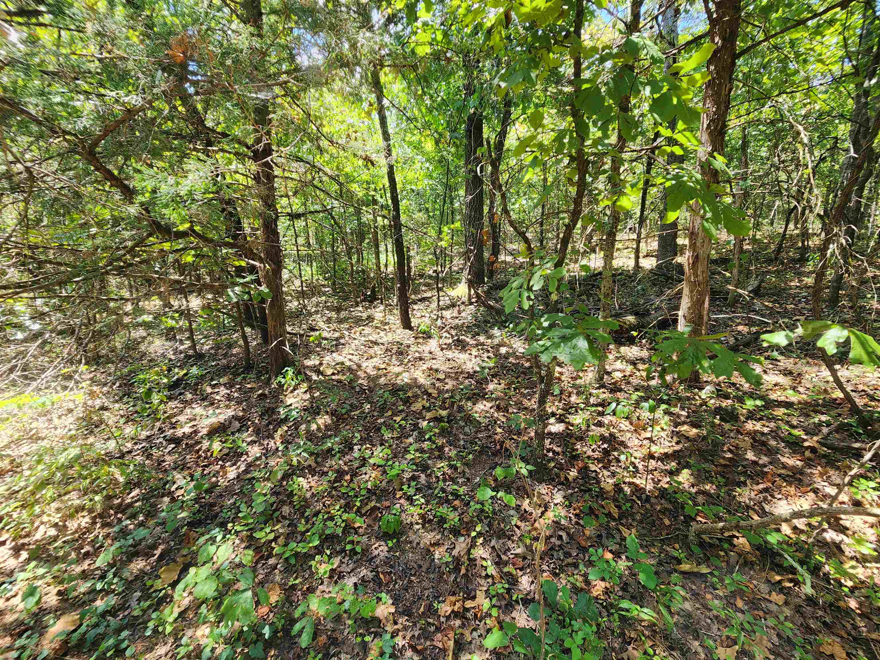Photo 11 - Vacant Land for sale – L-50, B-3  Lightning   Highland, AR