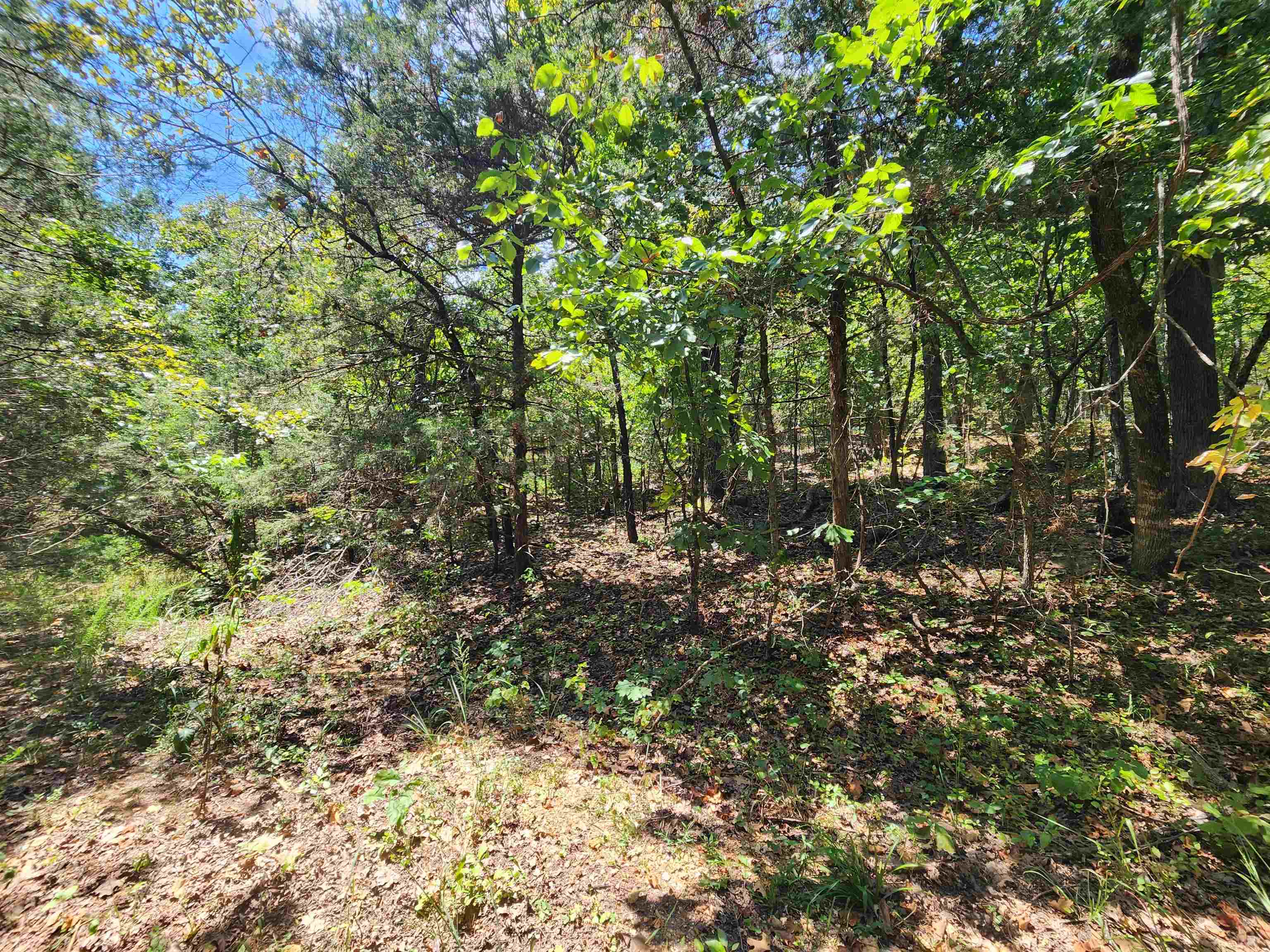 Photo 12 - Vacant Land for sale – L-50, B-3  Lightning   Highland, AR