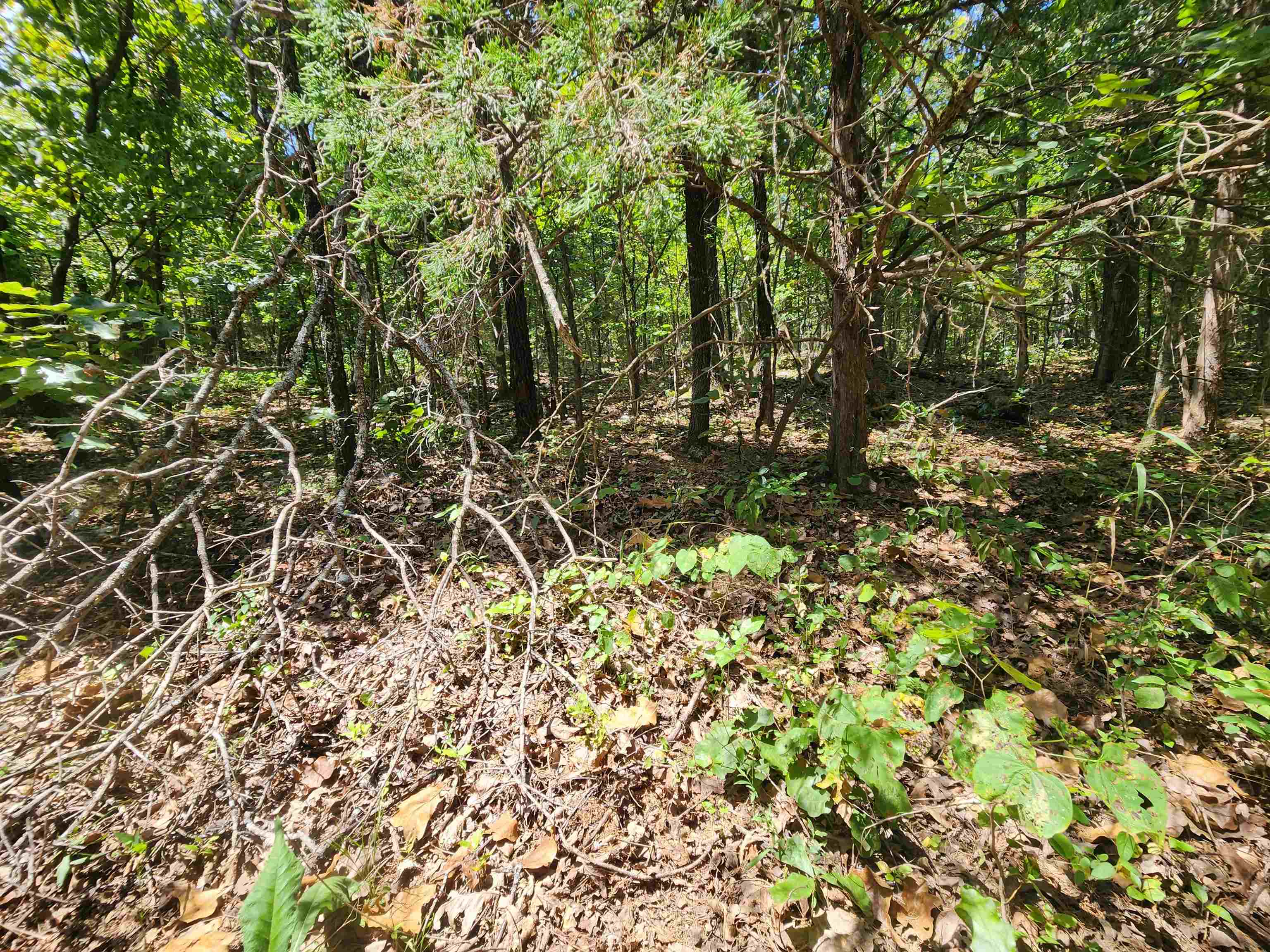 Photo 17 - Vacant Land for sale – L-50, B-3  Lightning   Highland, AR