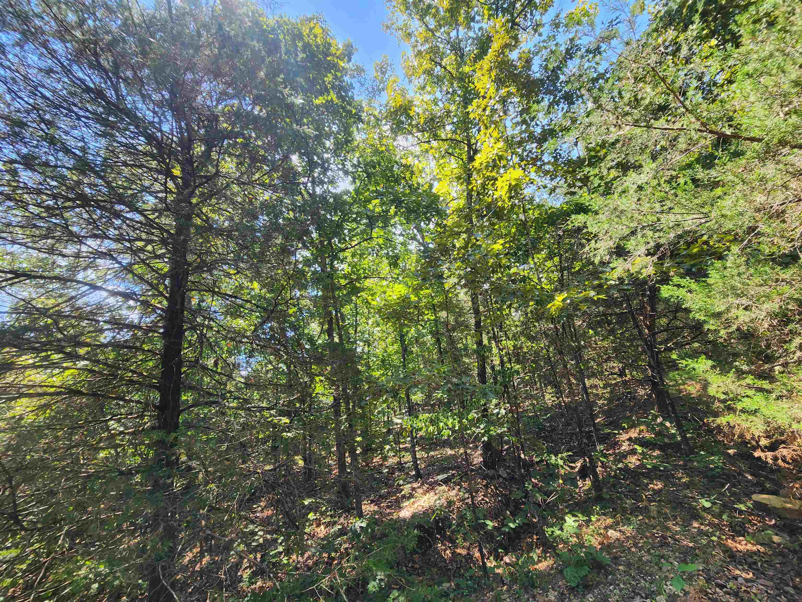 Photo 3 - Vacant Land for sale – L-50, B-3  Lightning   Highland, AR