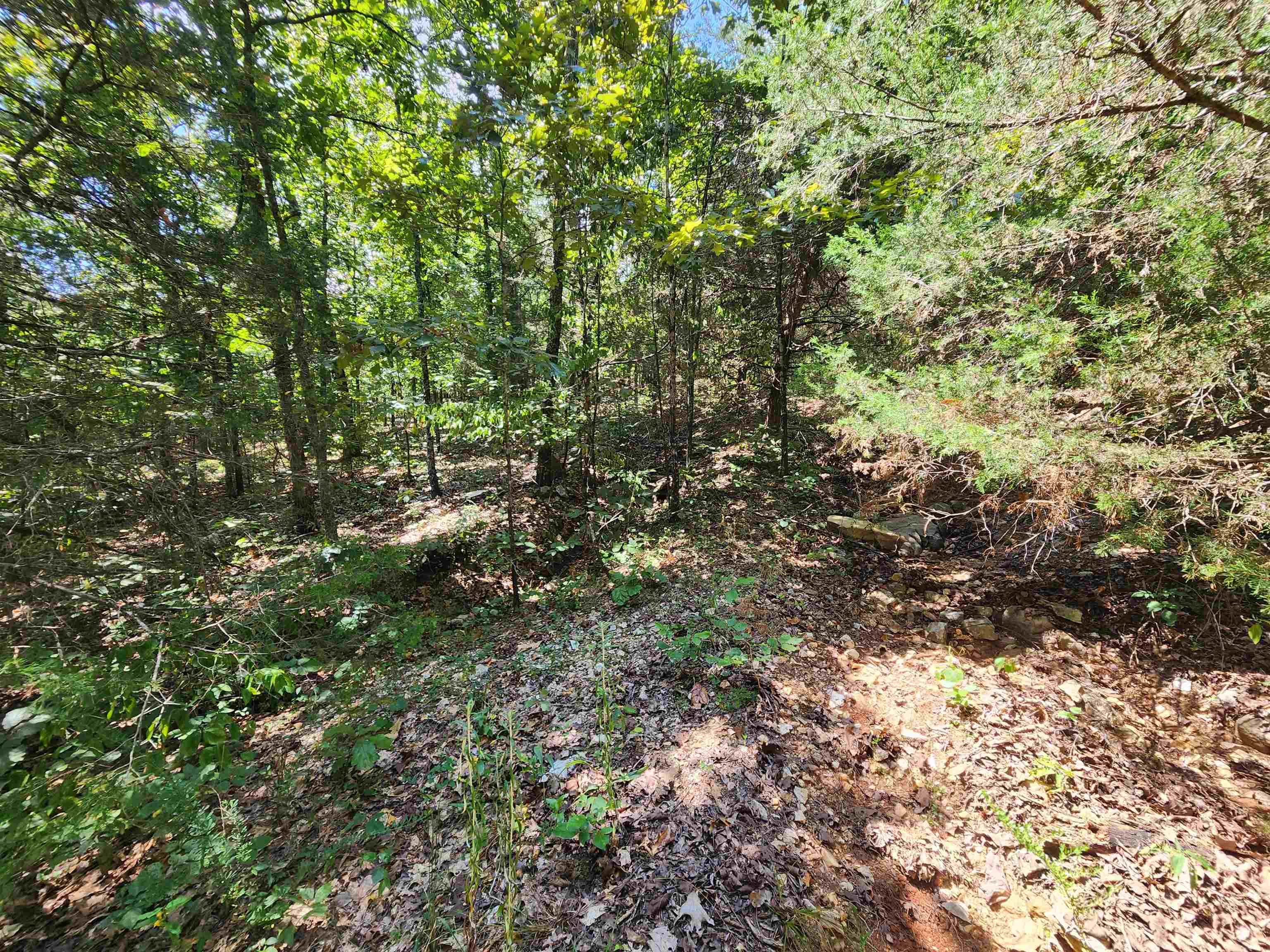 Photo 4 - Vacant Land for sale – L-50, B-3  Lightning   Highland, AR