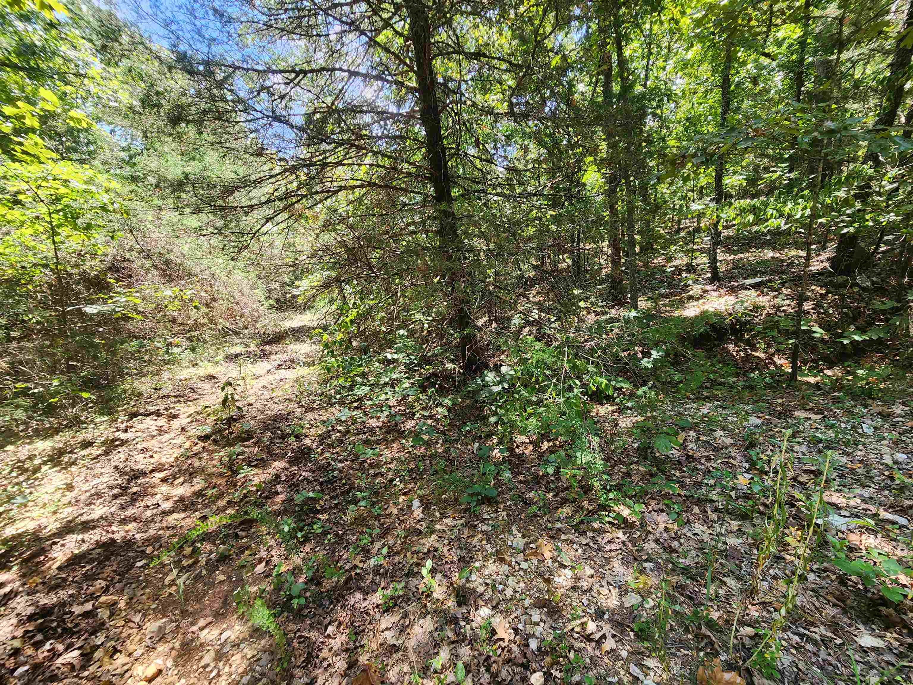 Photo 5 - Vacant Land for sale – L-50, B-3  Lightning   Highland, AR
