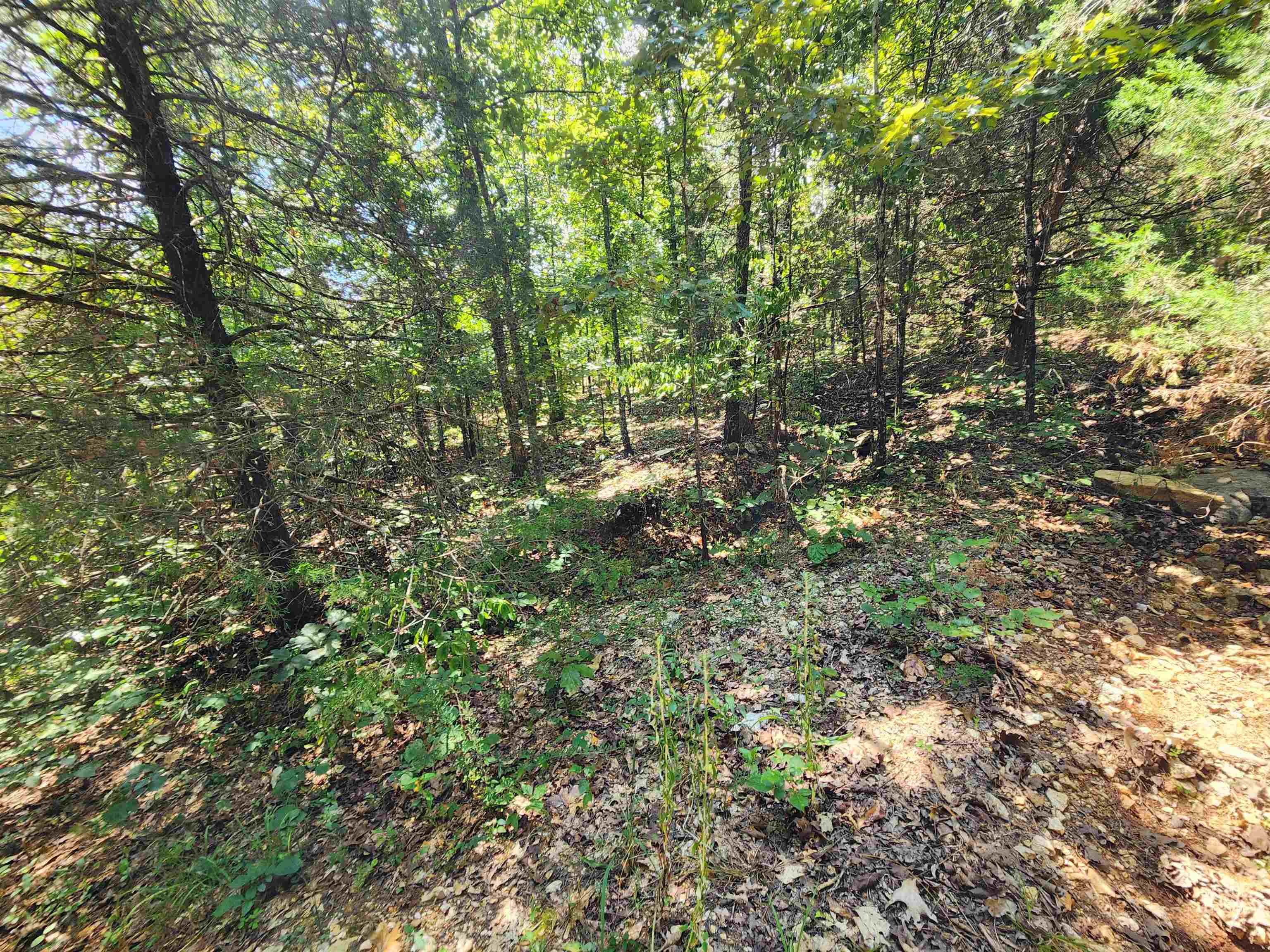Photo 6 - Vacant Land for sale – L-50, B-3  Lightning   Highland, AR