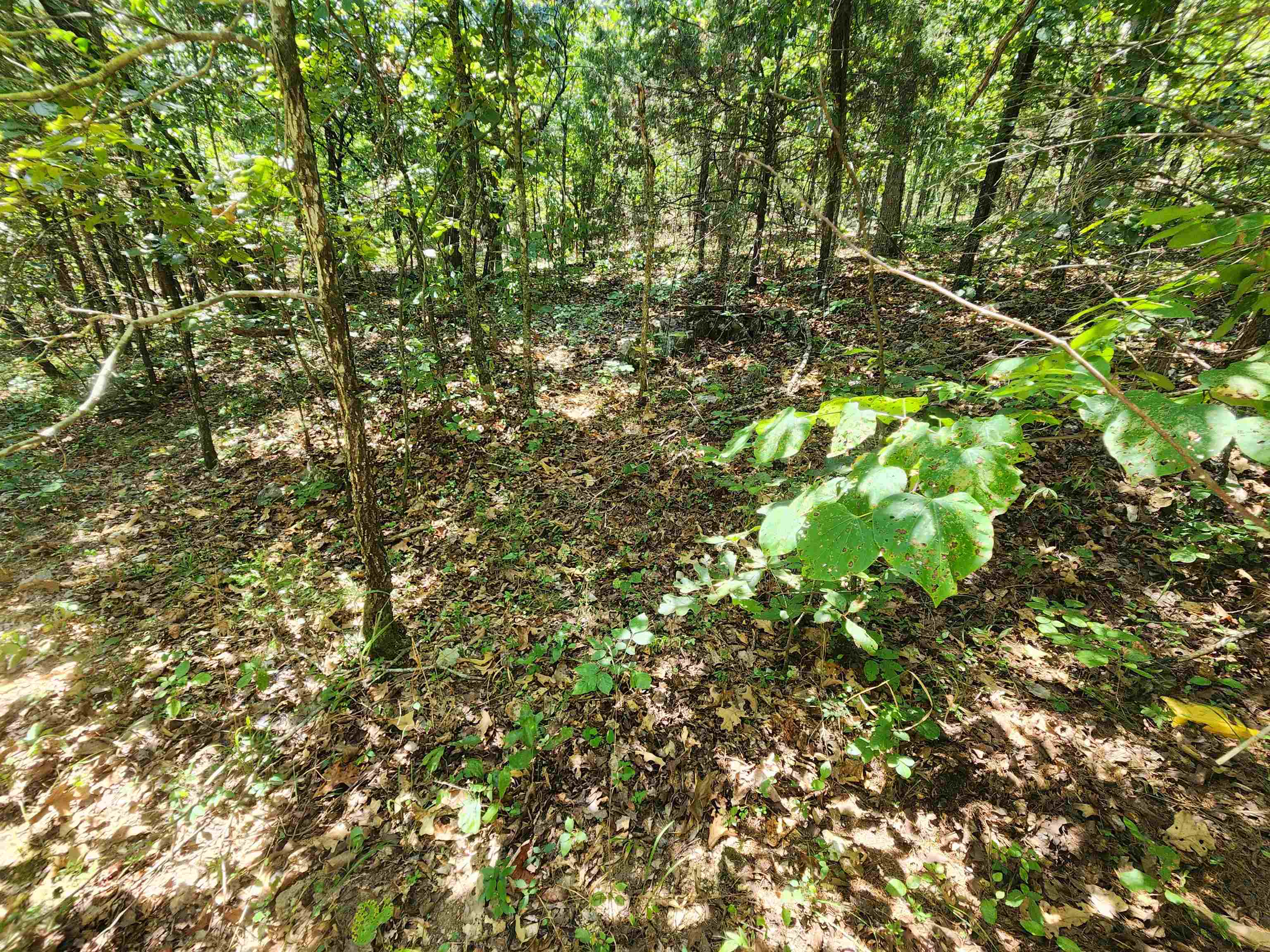 Photo 7 - Vacant Land for sale – L-50, B-3  Lightning   Highland, AR