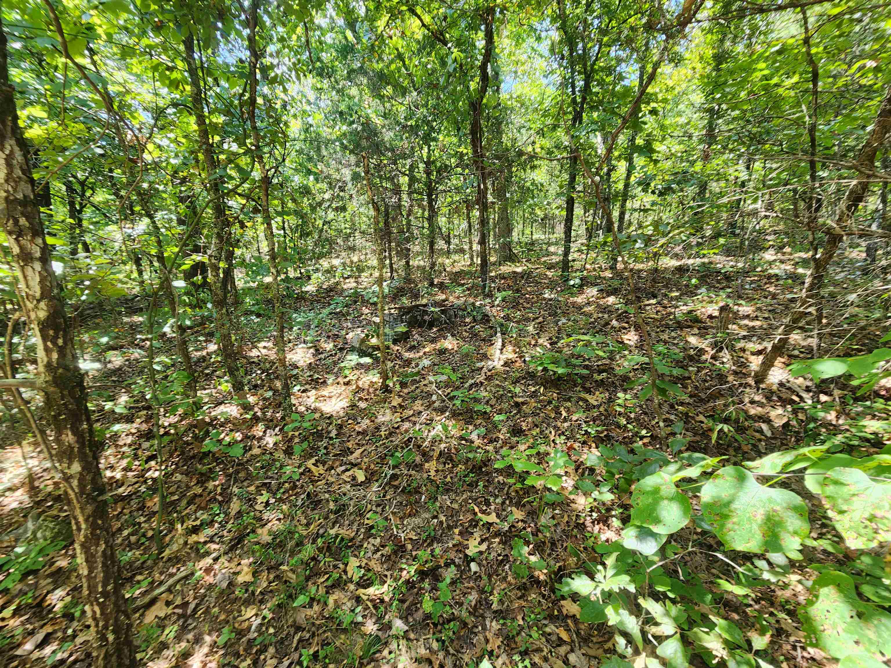 Photo 8 - Vacant Land for sale – L-50, B-3  Lightning   Highland, AR