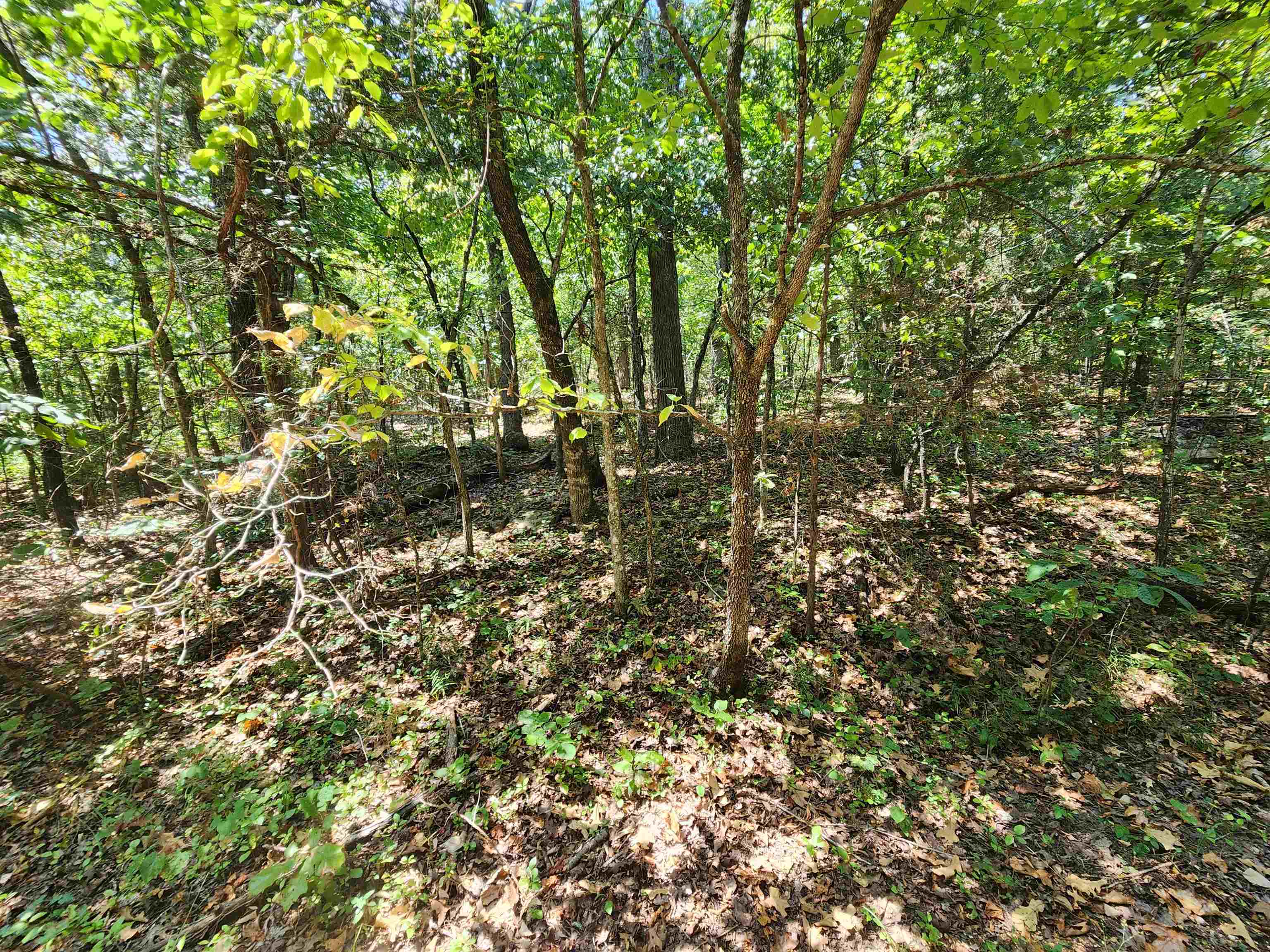 Photo 9 - Vacant Land for sale – L-50, B-3  Lightning   Highland, AR