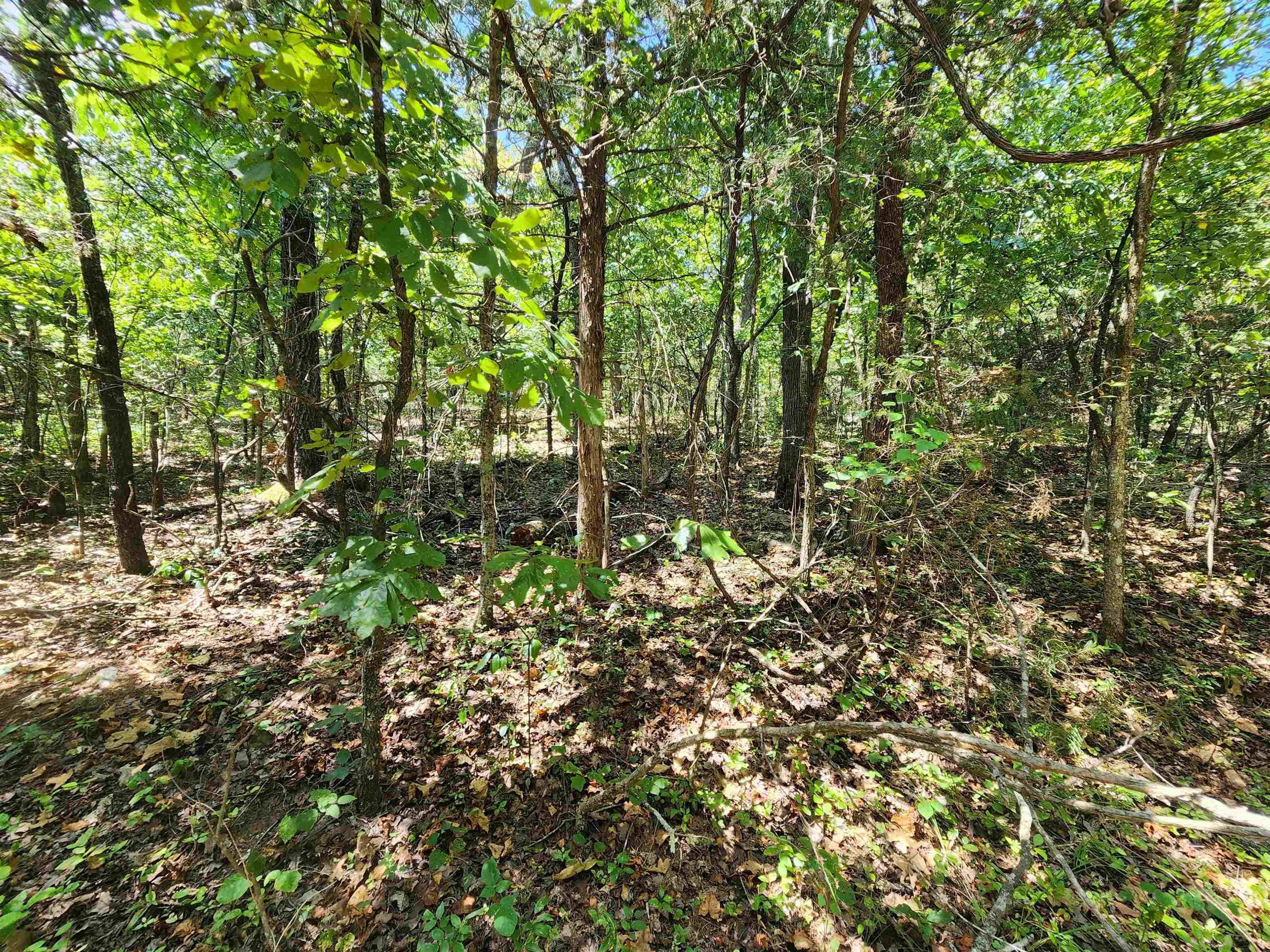 Photo 10 - Vacant Land for sale – L-50, B-3  Lightning   Highland, AR