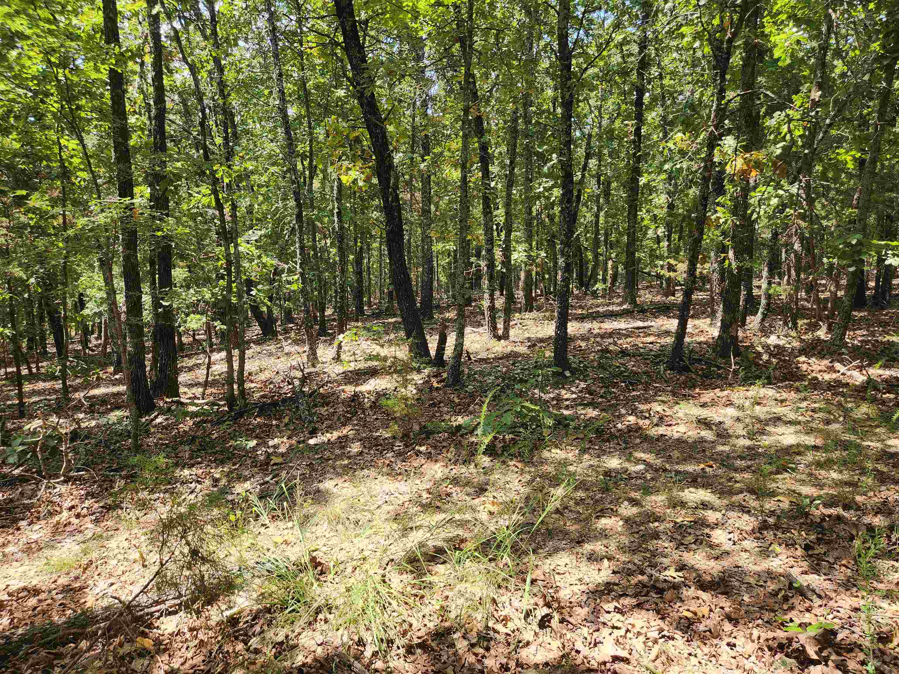 Vacant Land for sale – L101-103, B-3  Lightning   Highland, AR