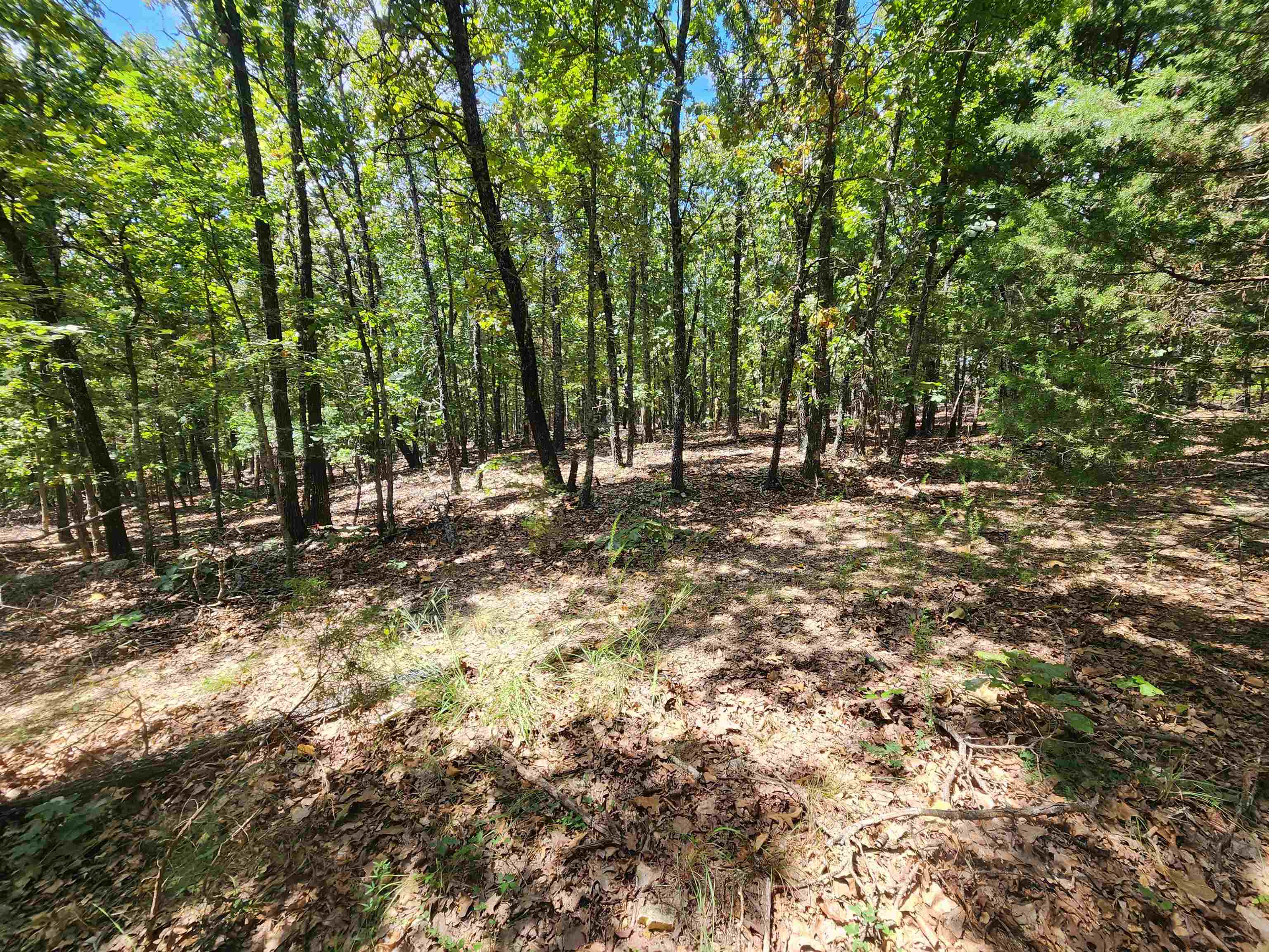 Photo 2 - Vacant Land for sale – L101-103, B-3  Lightning   Highland, AR