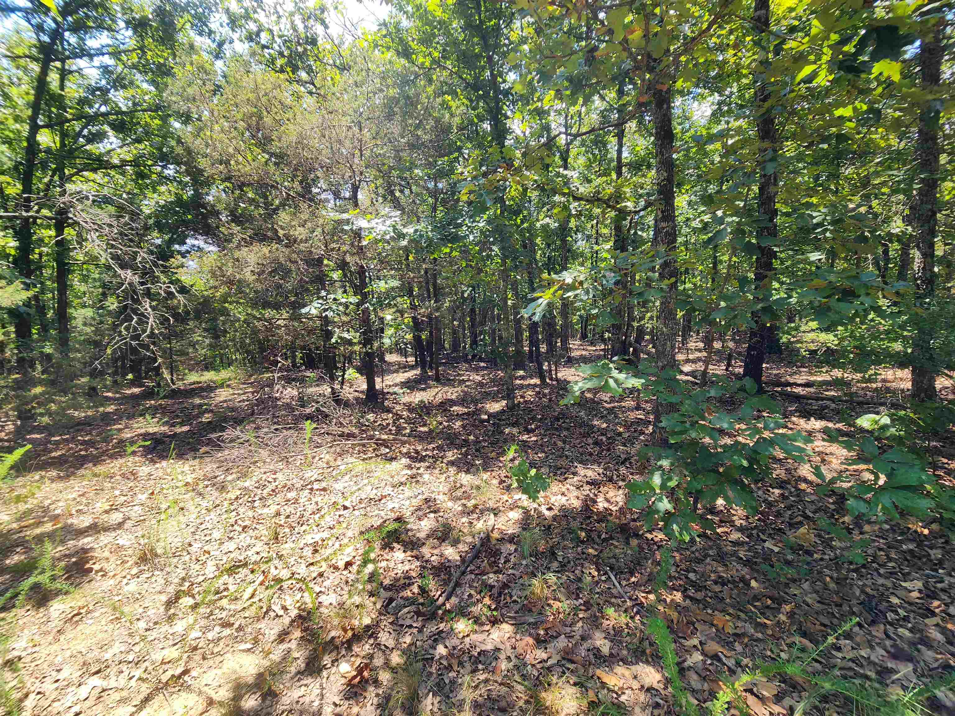 Photo 11 - Vacant Land for sale – L101-103, B-3  Lightning   Highland, AR