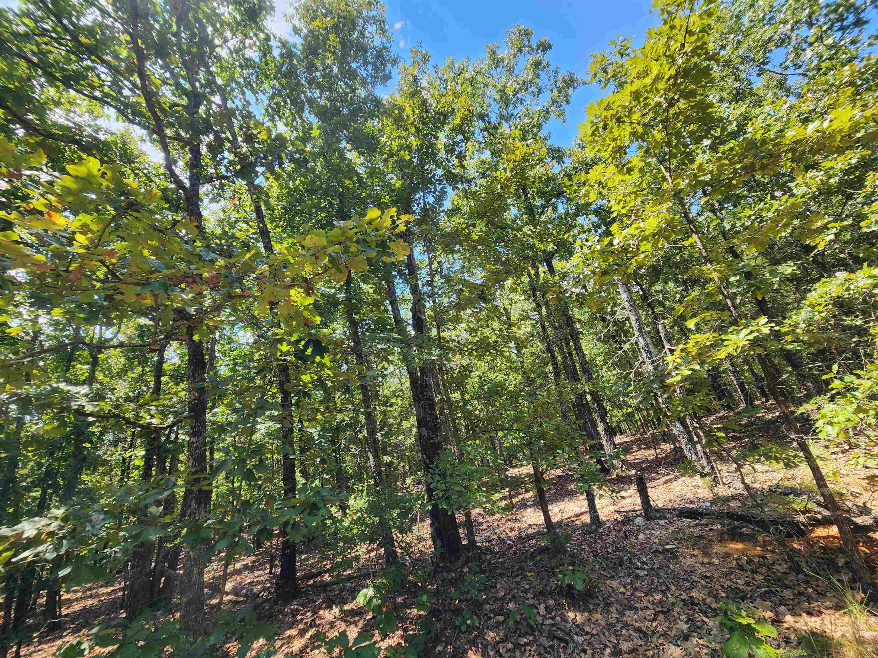 Photo 12 - Vacant Land for sale – L101-103, B-3  Lightning   Highland, AR