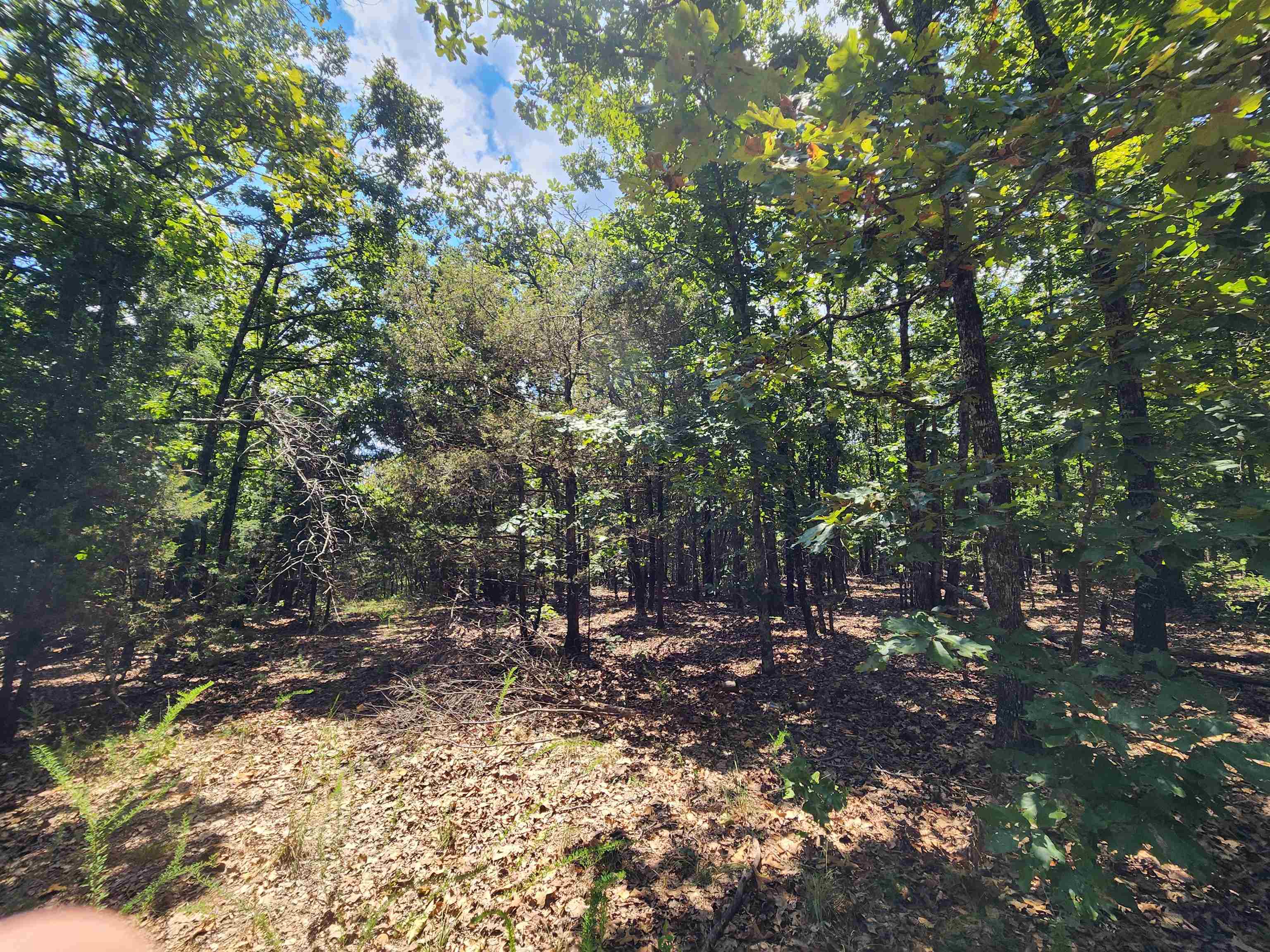 Photo 13 - Vacant Land for sale – L101-103, B-3  Lightning   Highland, AR