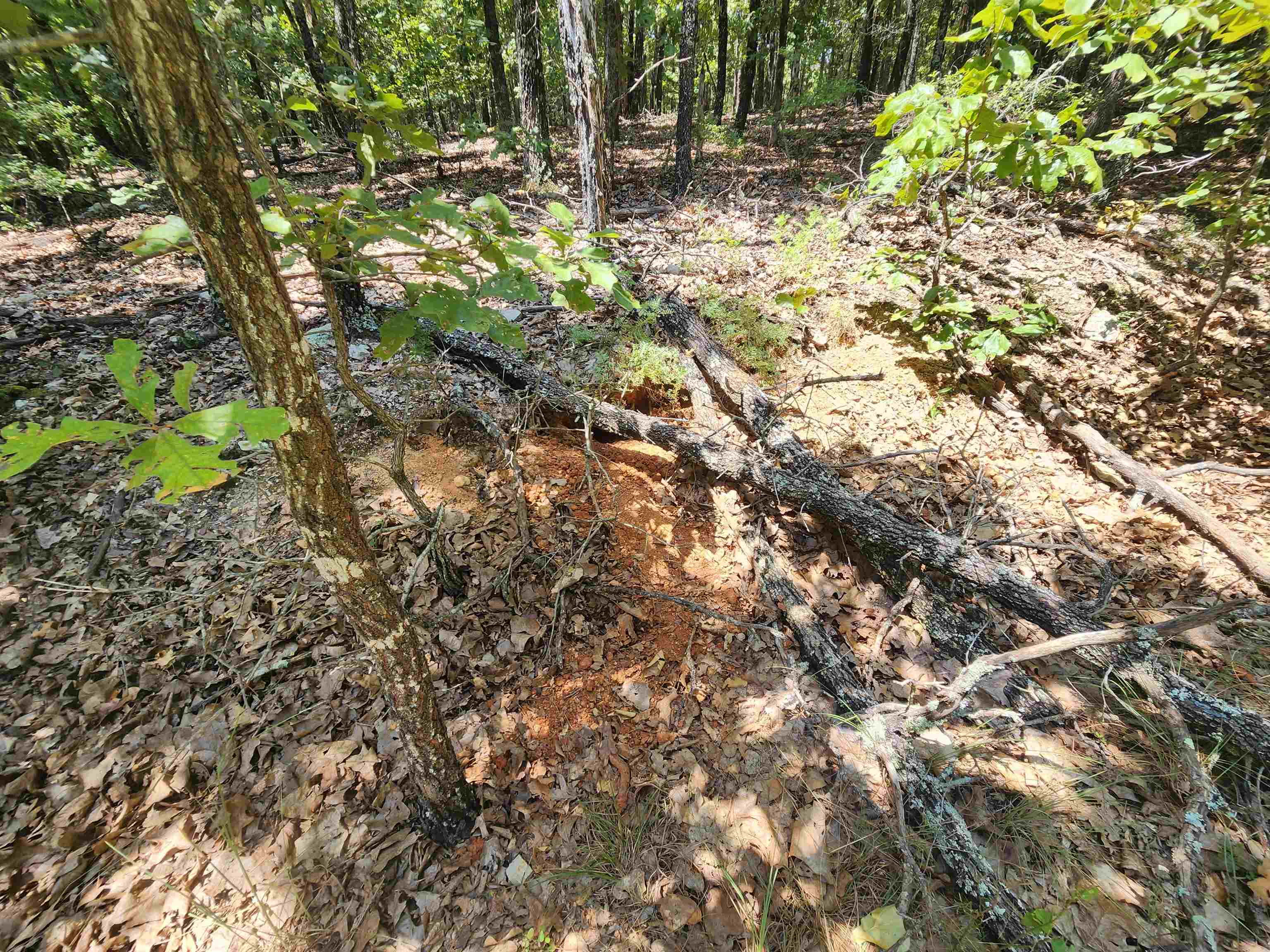 Photo 14 - Vacant Land for sale – L101-103, B-3  Lightning   Highland, AR