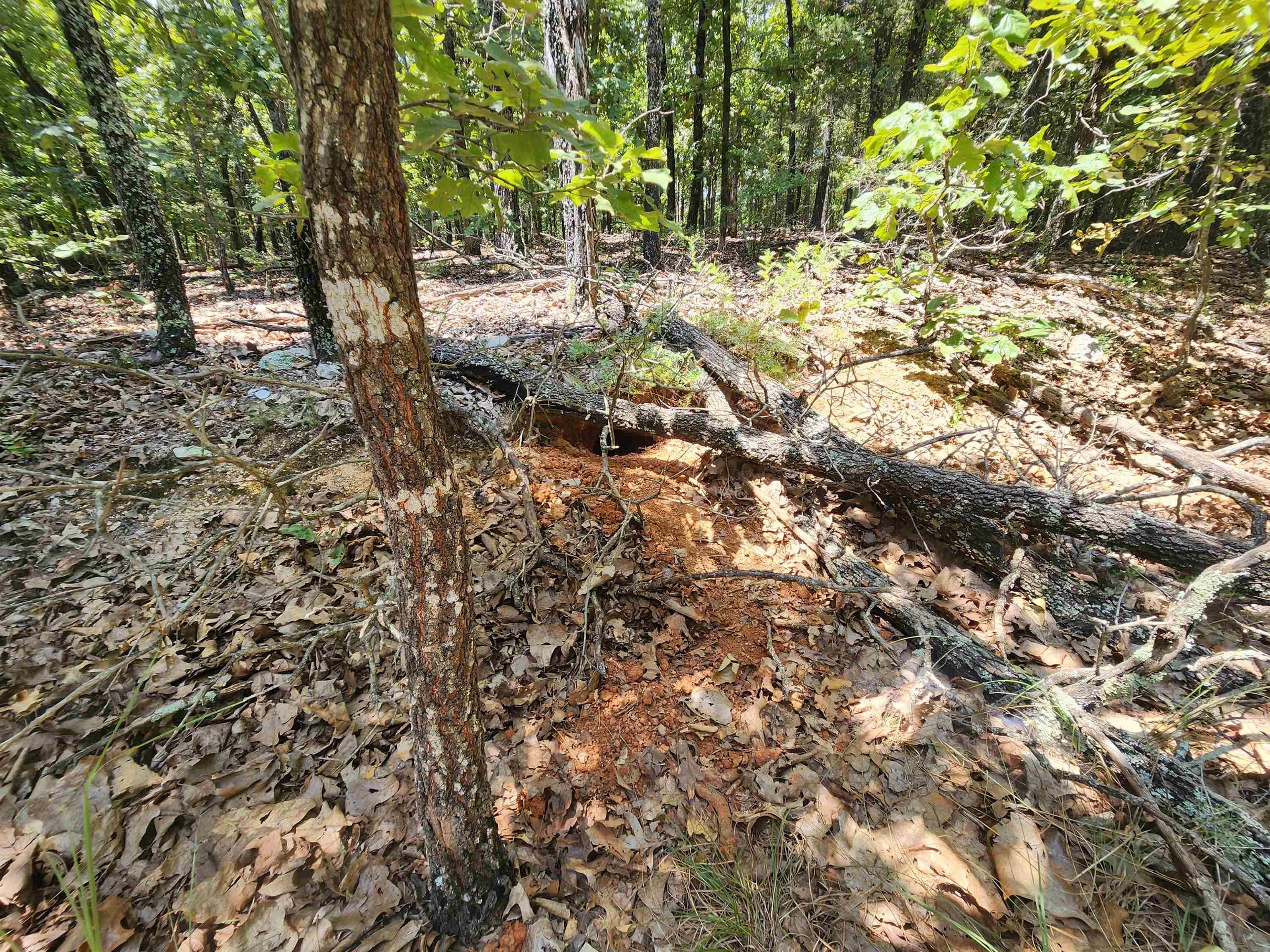 Photo 15 - Vacant Land for sale – L101-103, B-3  Lightning   Highland, AR