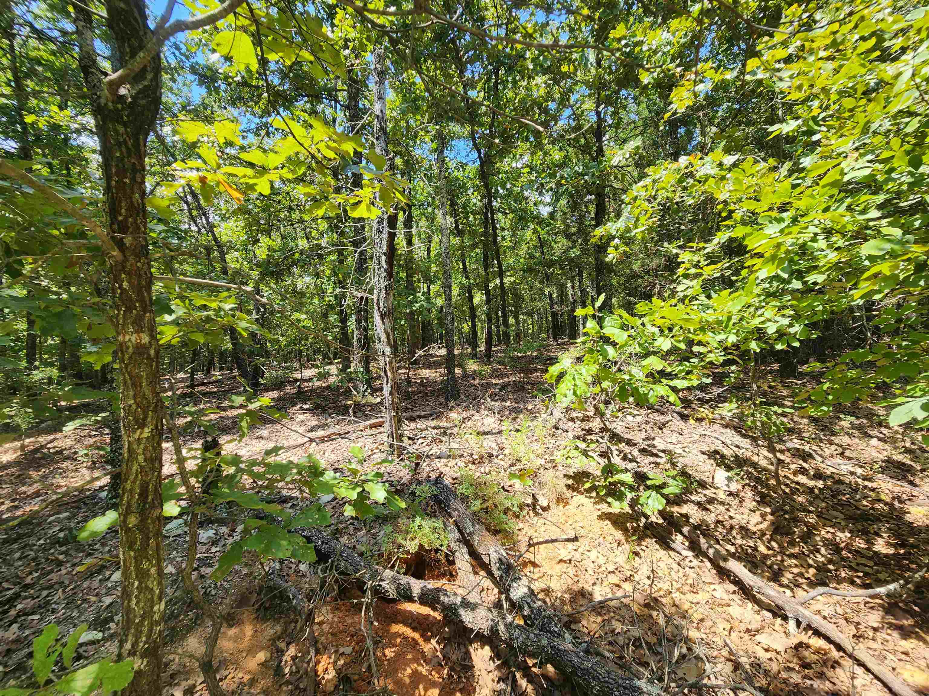 Photo 16 - Vacant Land for sale – L101-103, B-3  Lightning   Highland, AR
