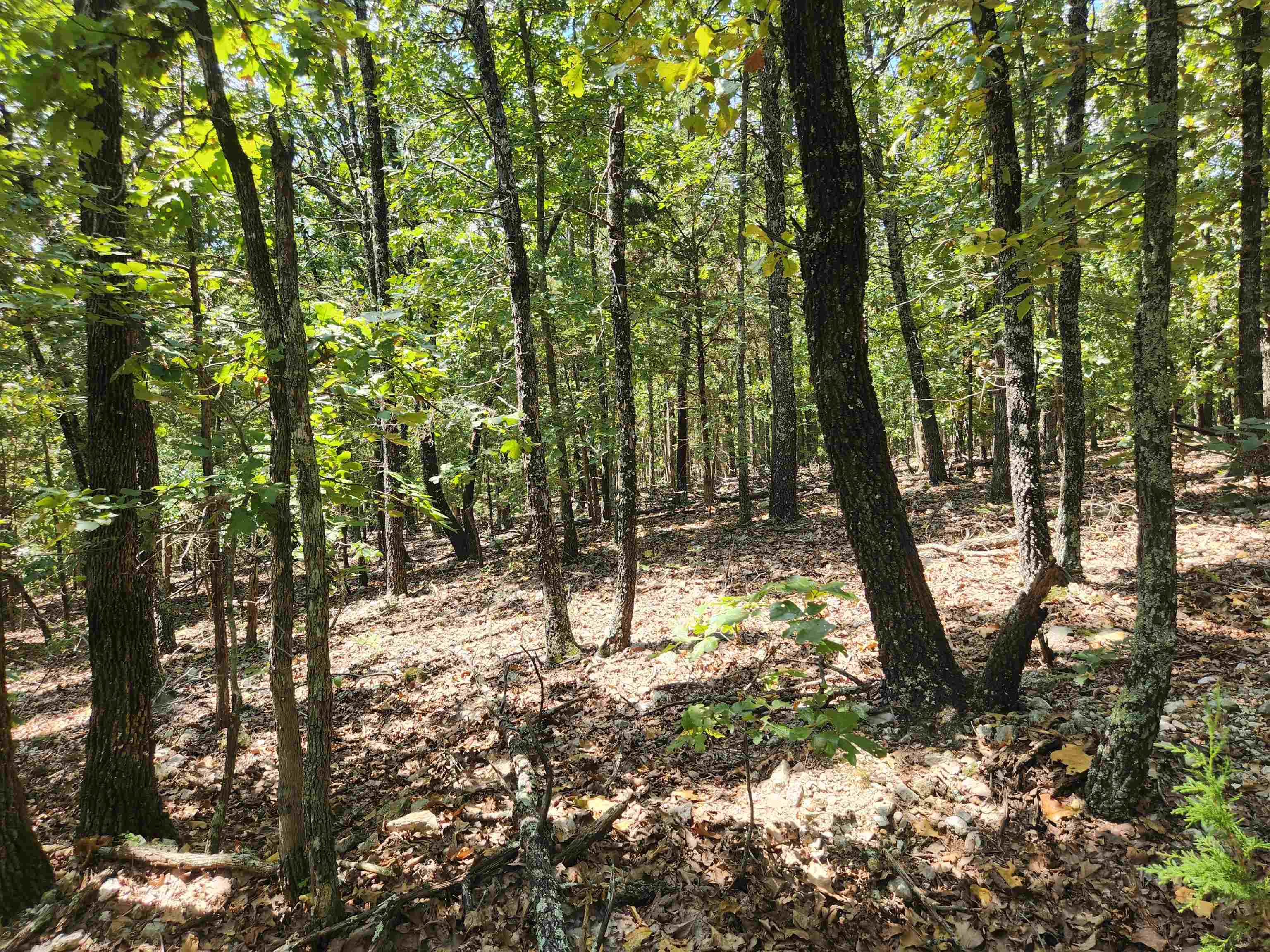 Photo 17 - Vacant Land for sale – L101-103, B-3  Lightning   Highland, AR