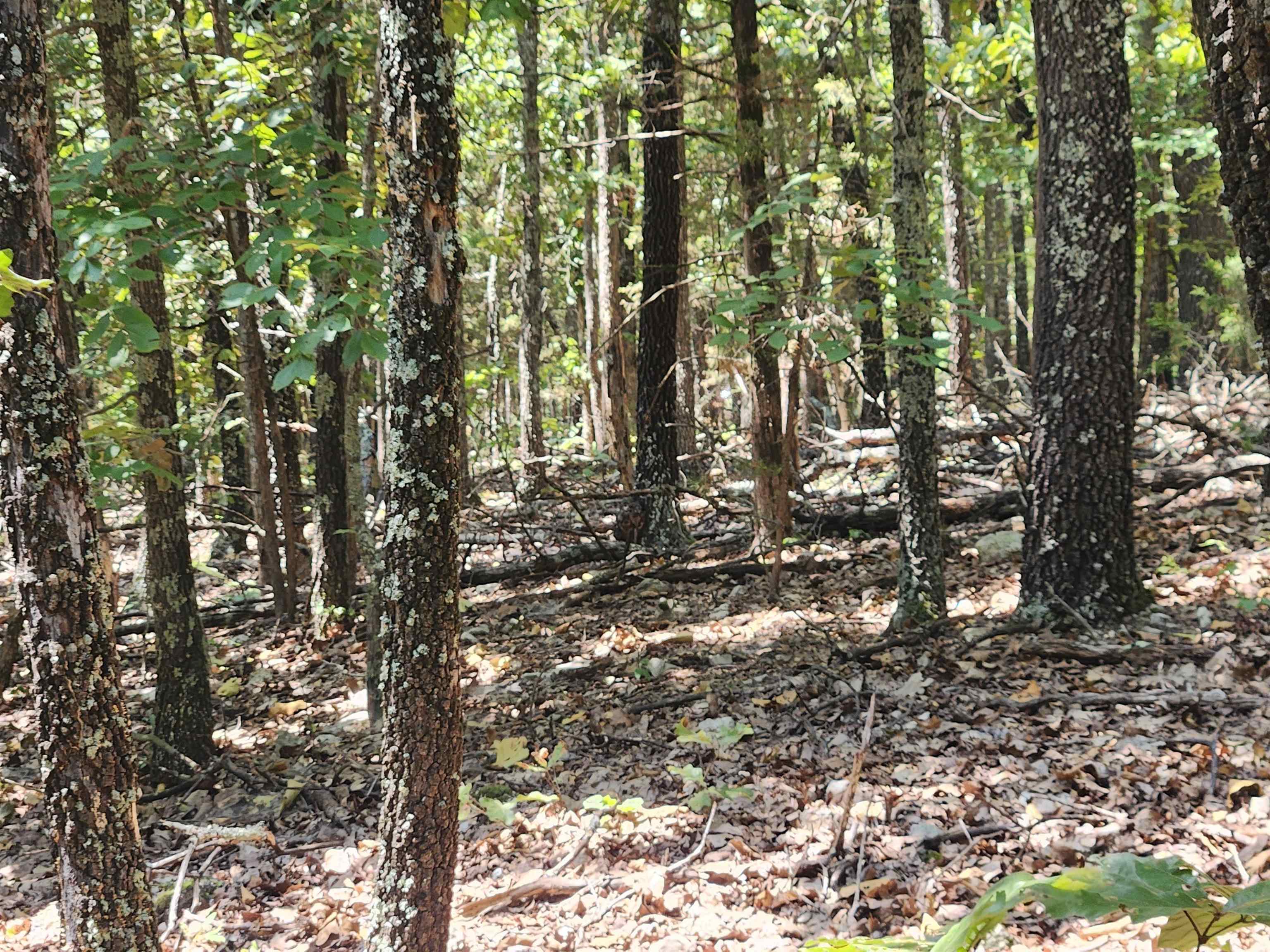 Photo 18 - Vacant Land for sale – L101-103, B-3  Lightning   Highland, AR