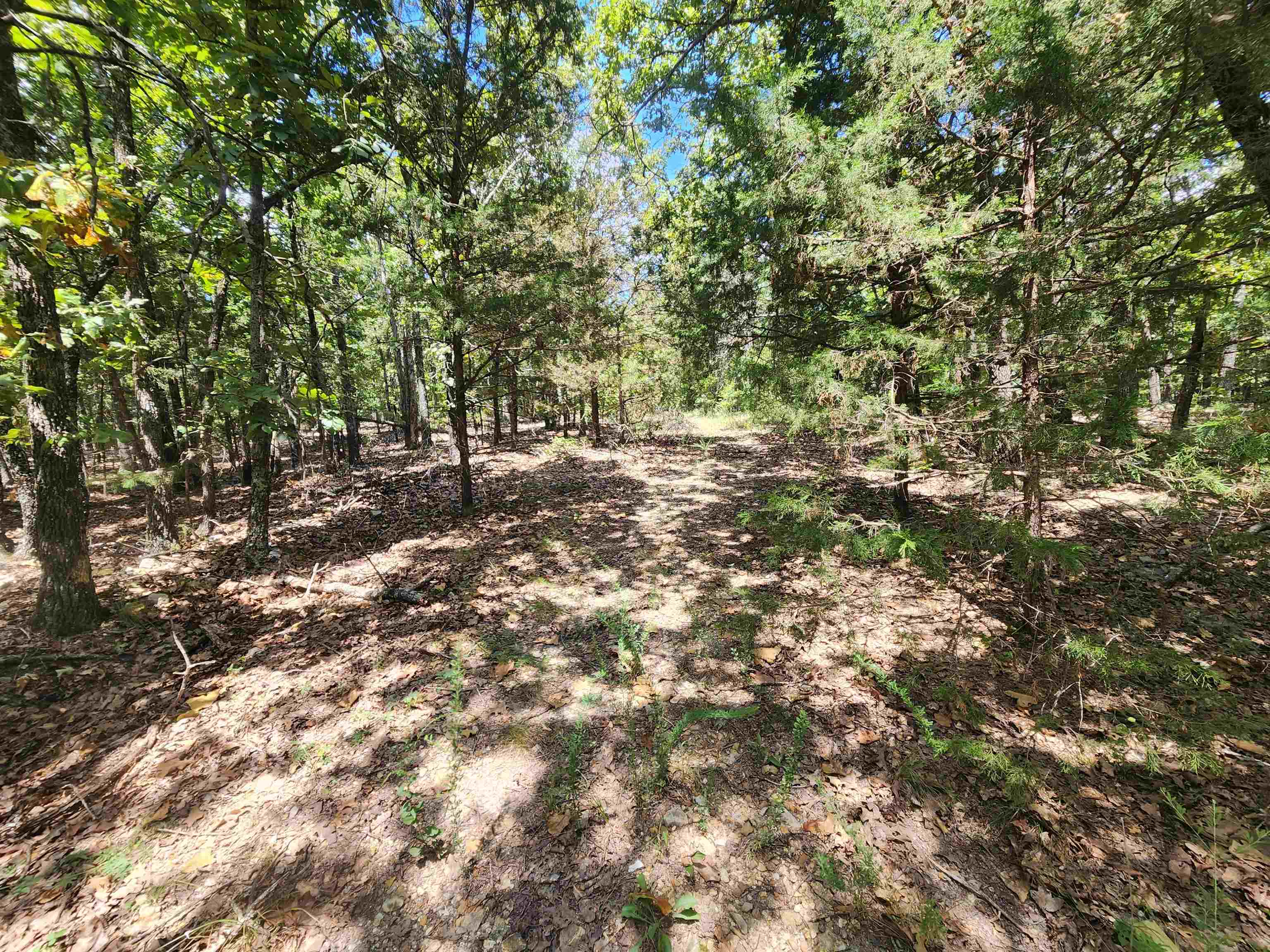 Photo 3 - Vacant Land for sale – L101-103, B-3  Lightning   Highland, AR
