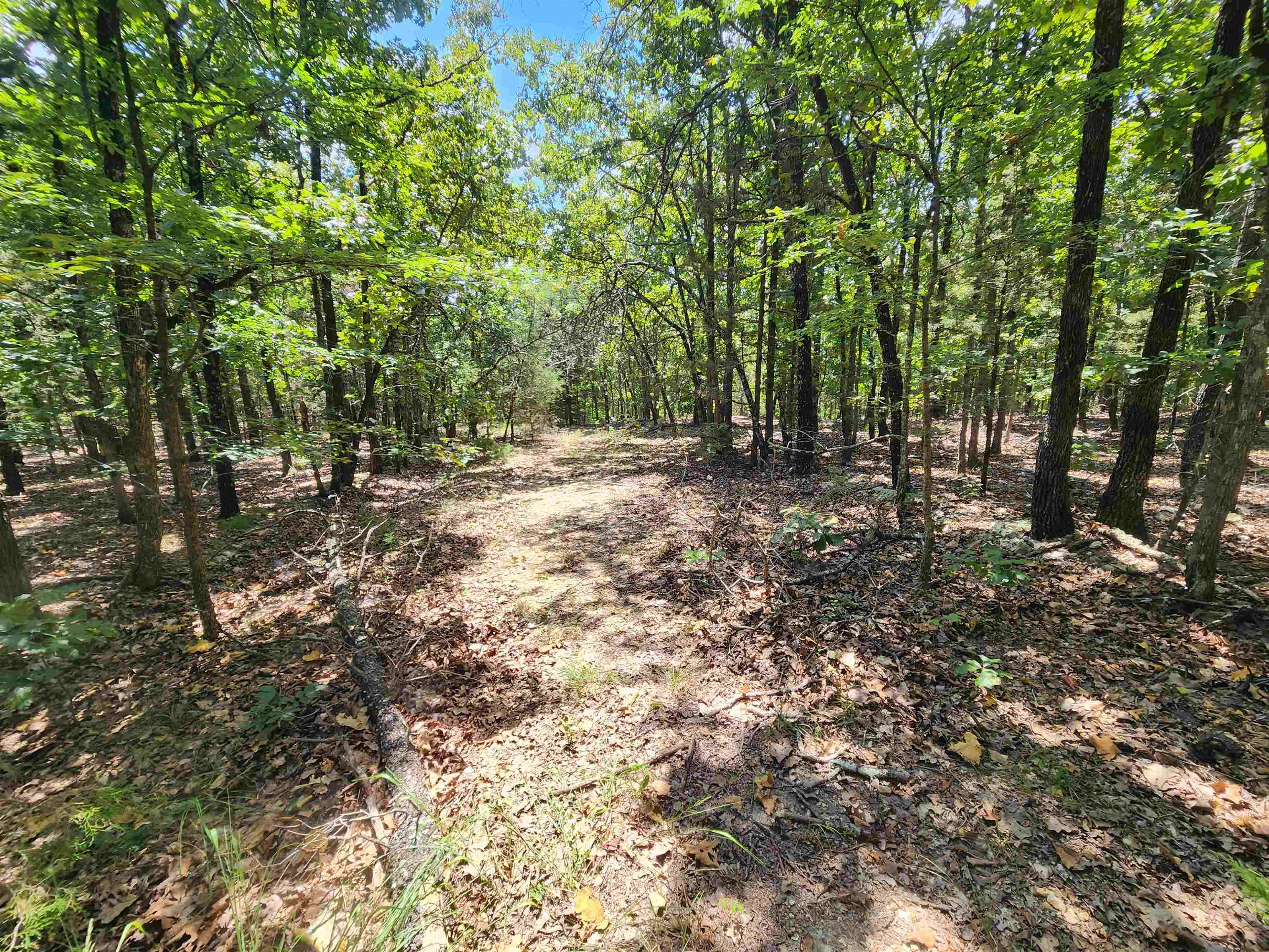 Photo 4 - Vacant Land for sale – L101-103, B-3  Lightning   Highland, AR