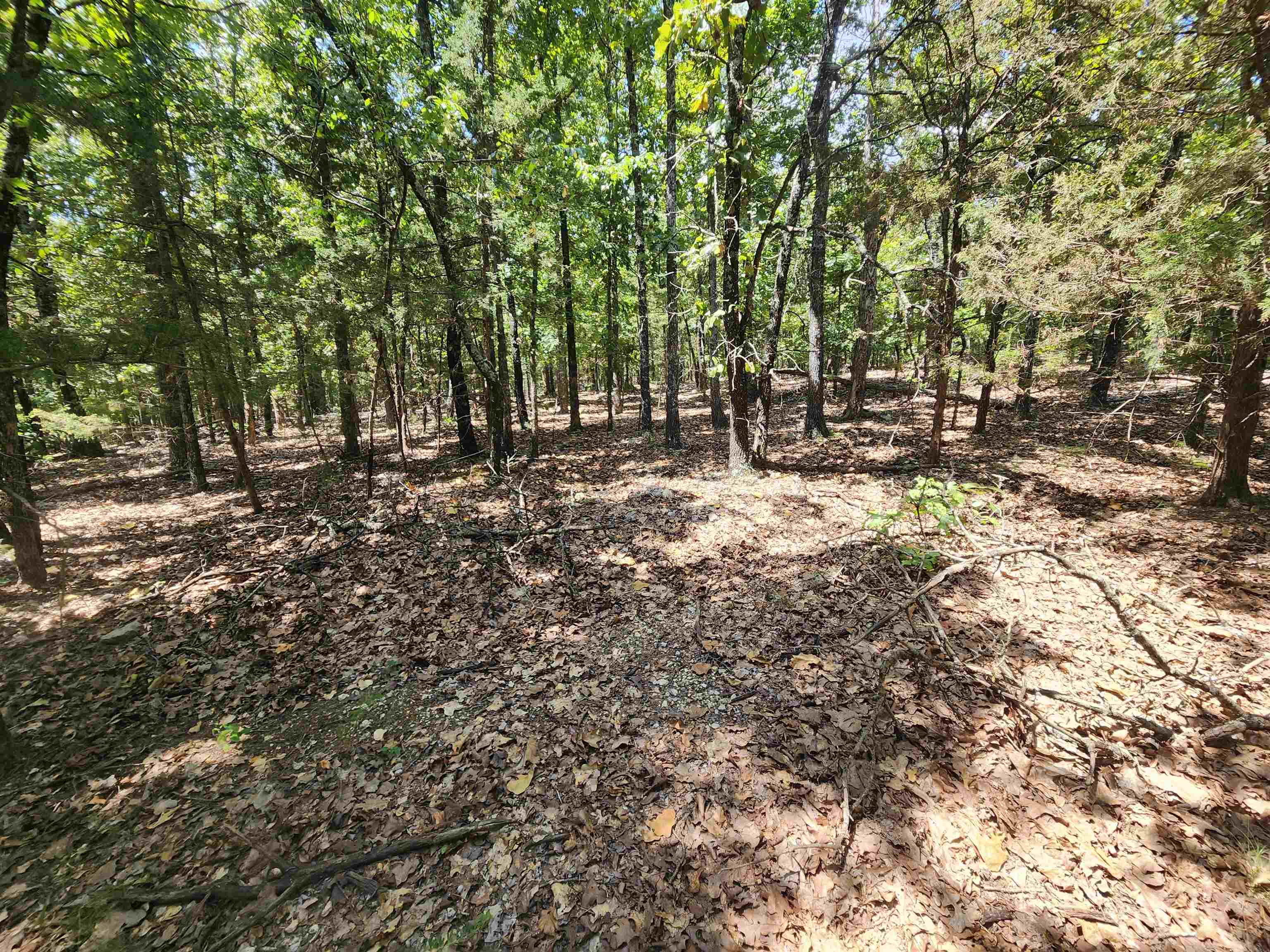 Photo 5 - Vacant Land for sale – L101-103, B-3  Lightning   Highland, AR