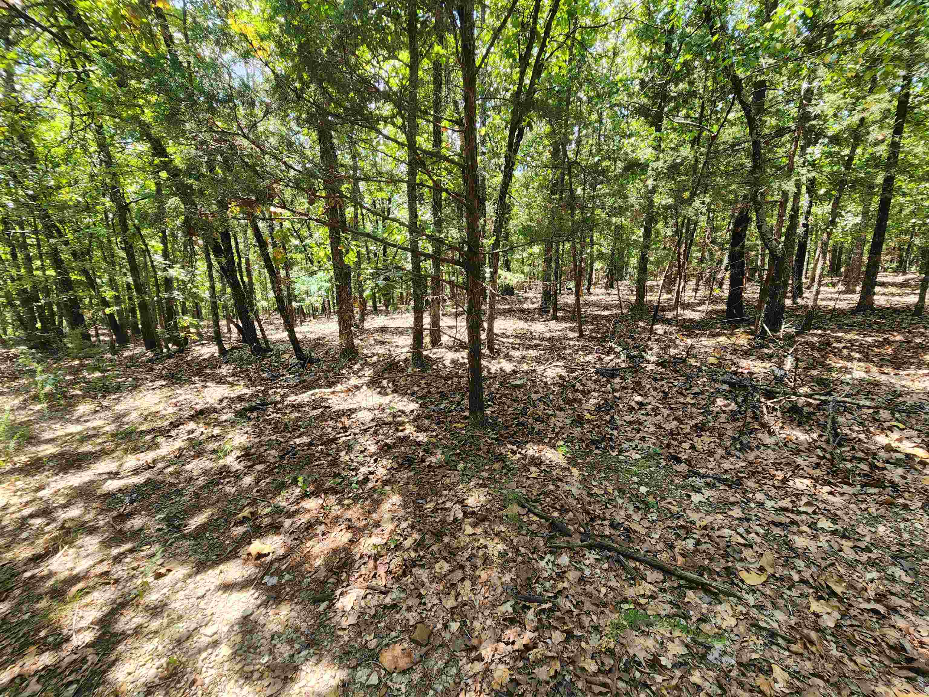 Photo 6 - Vacant Land for sale – L101-103, B-3  Lightning   Highland, AR