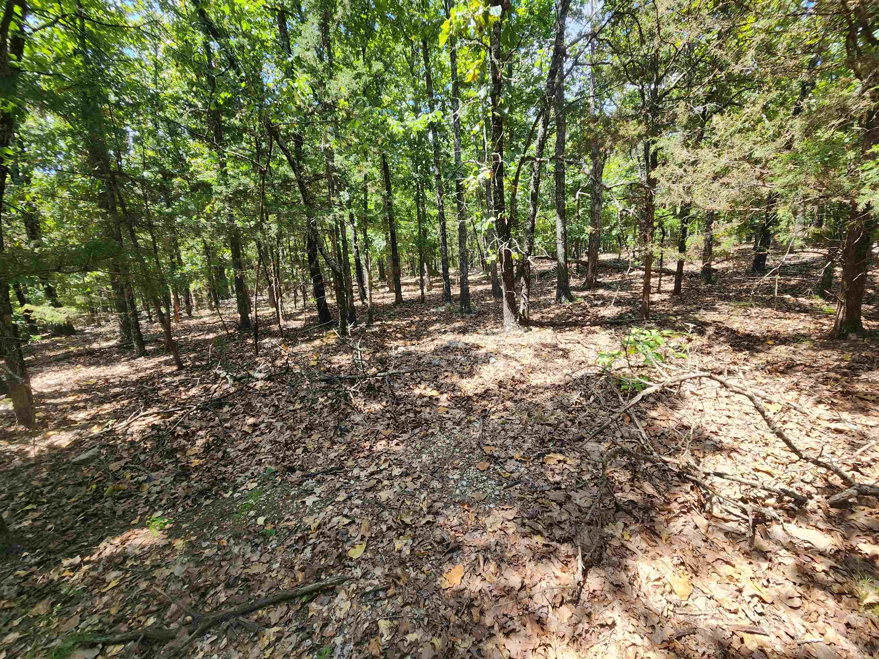 Photo 7 - Vacant Land for sale – L101-103, B-3  Lightning   Highland, AR