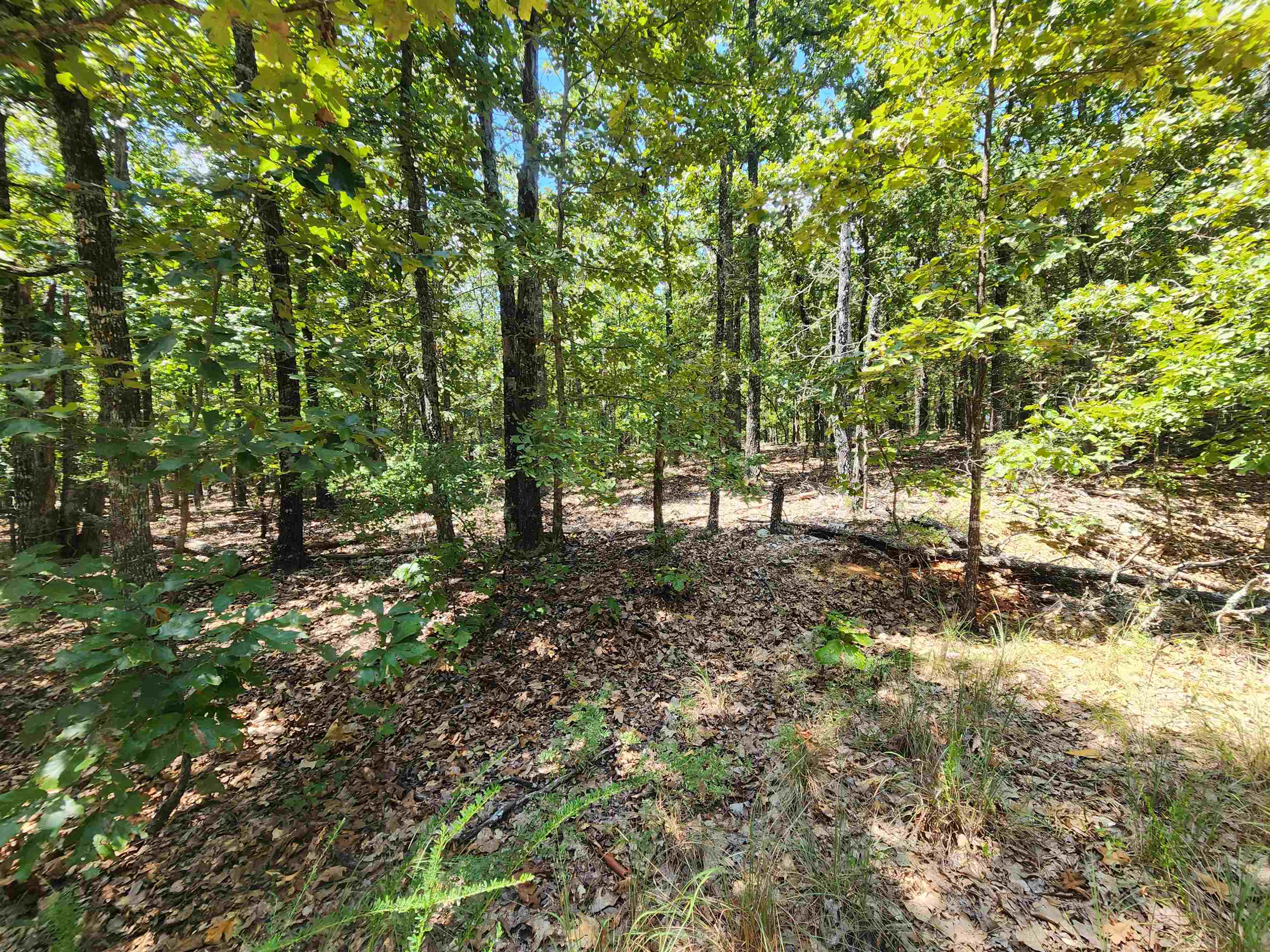 Photo 9 - Vacant Land for sale – L101-103, B-3  Lightning   Highland, AR