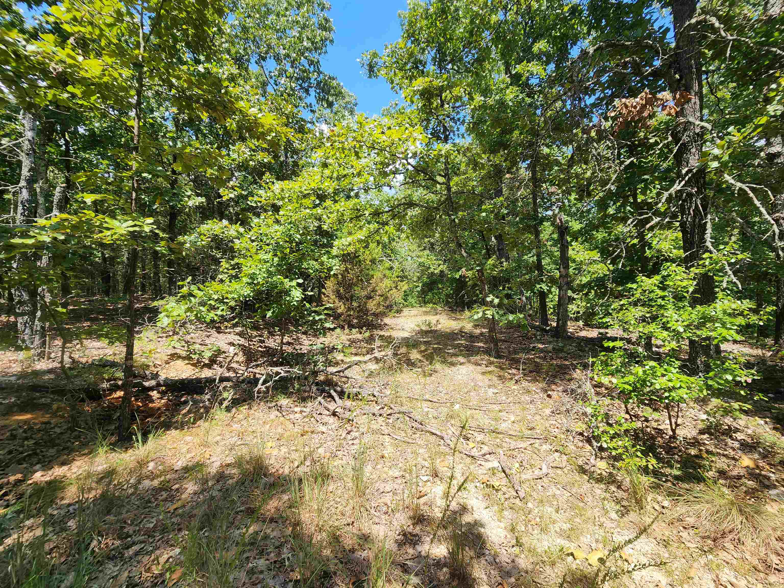 Photo 10 - Vacant Land for sale – L101-103, B-3  Lightning   Highland, AR