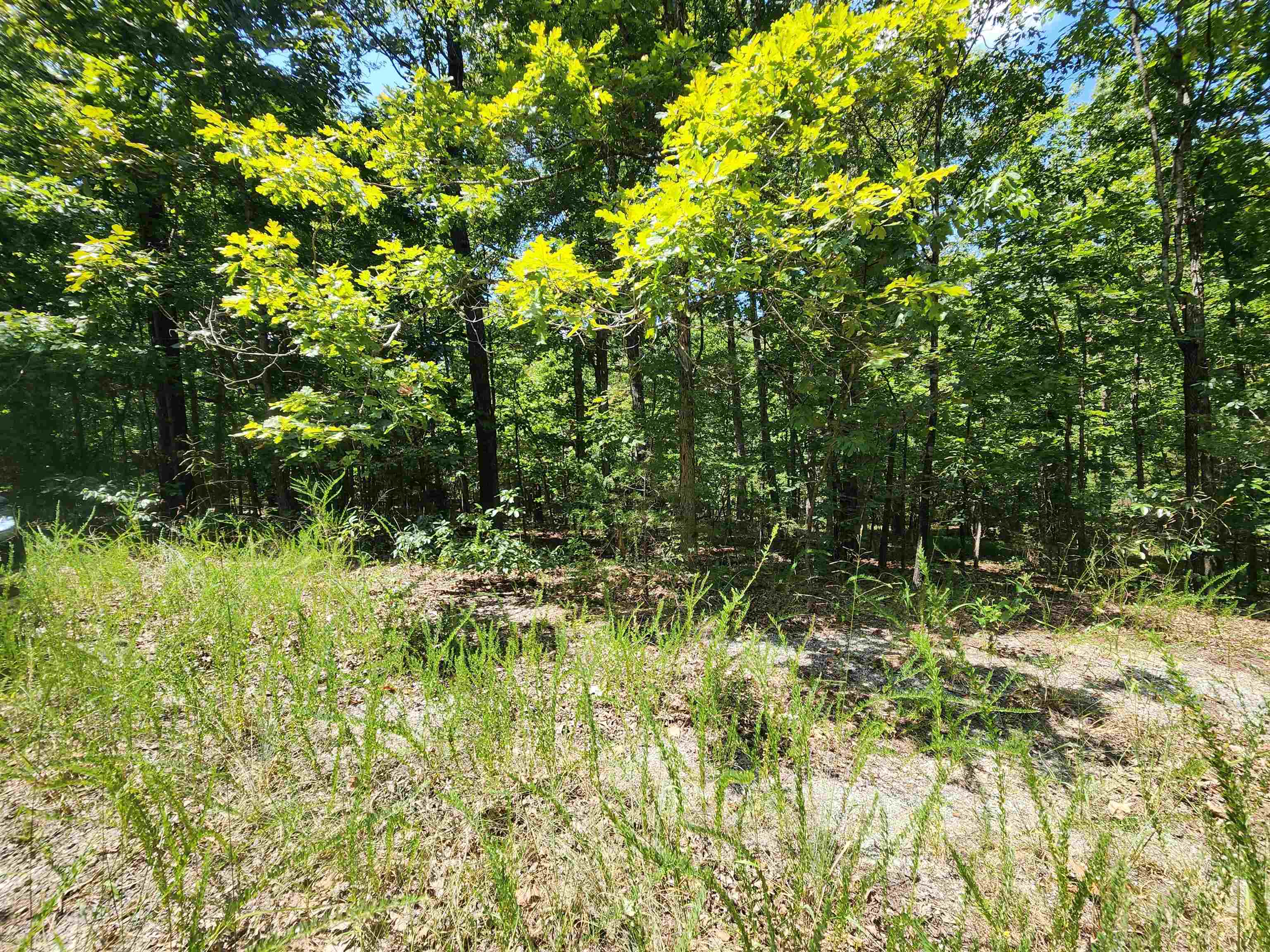 Vacant Land for sale – L-13, B-6  Calumet   Cherokee Village, AR