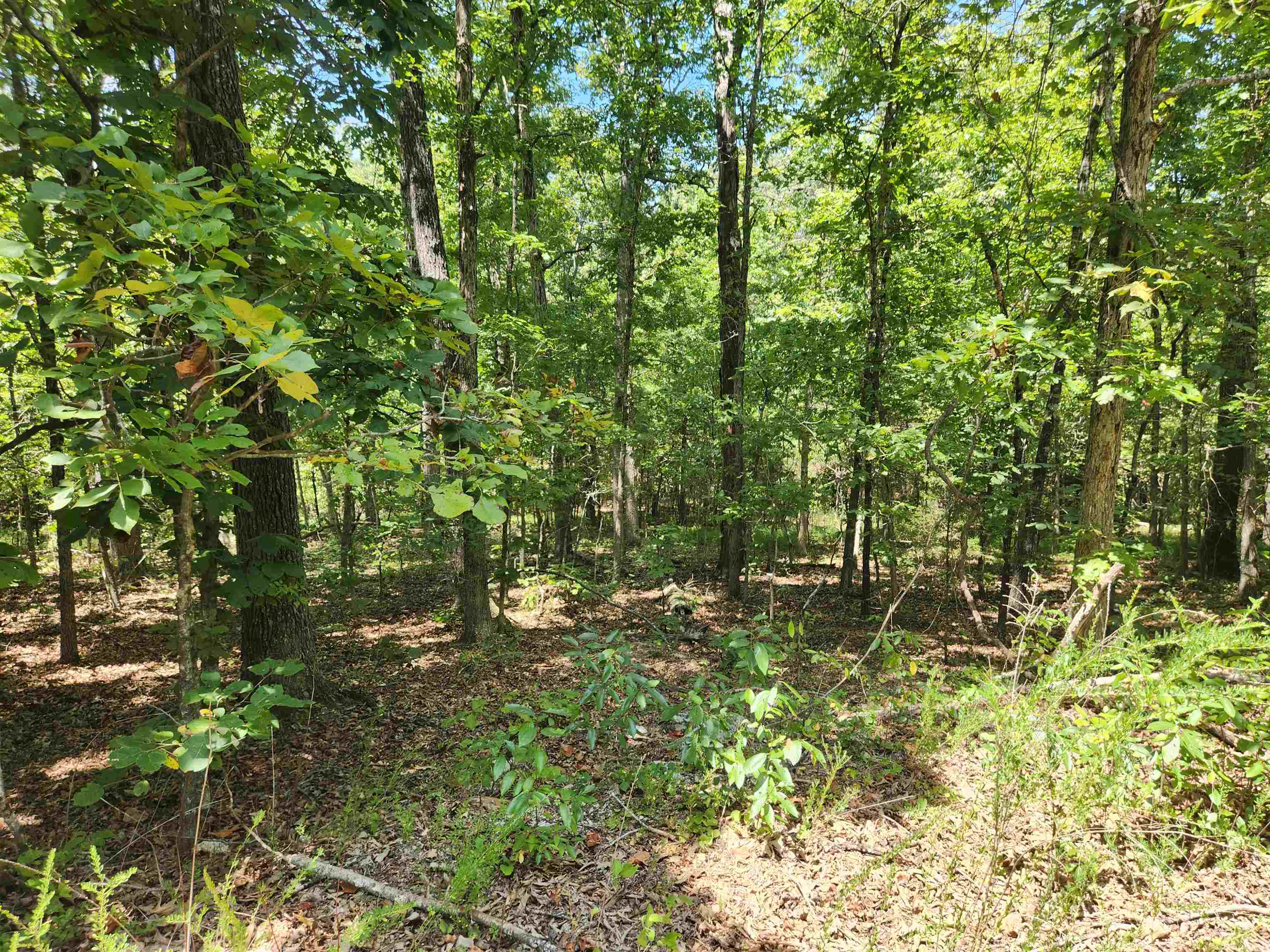 Photo 2 - Vacant Land for sale – L-13, B-6  Calumet   Cherokee Village, AR