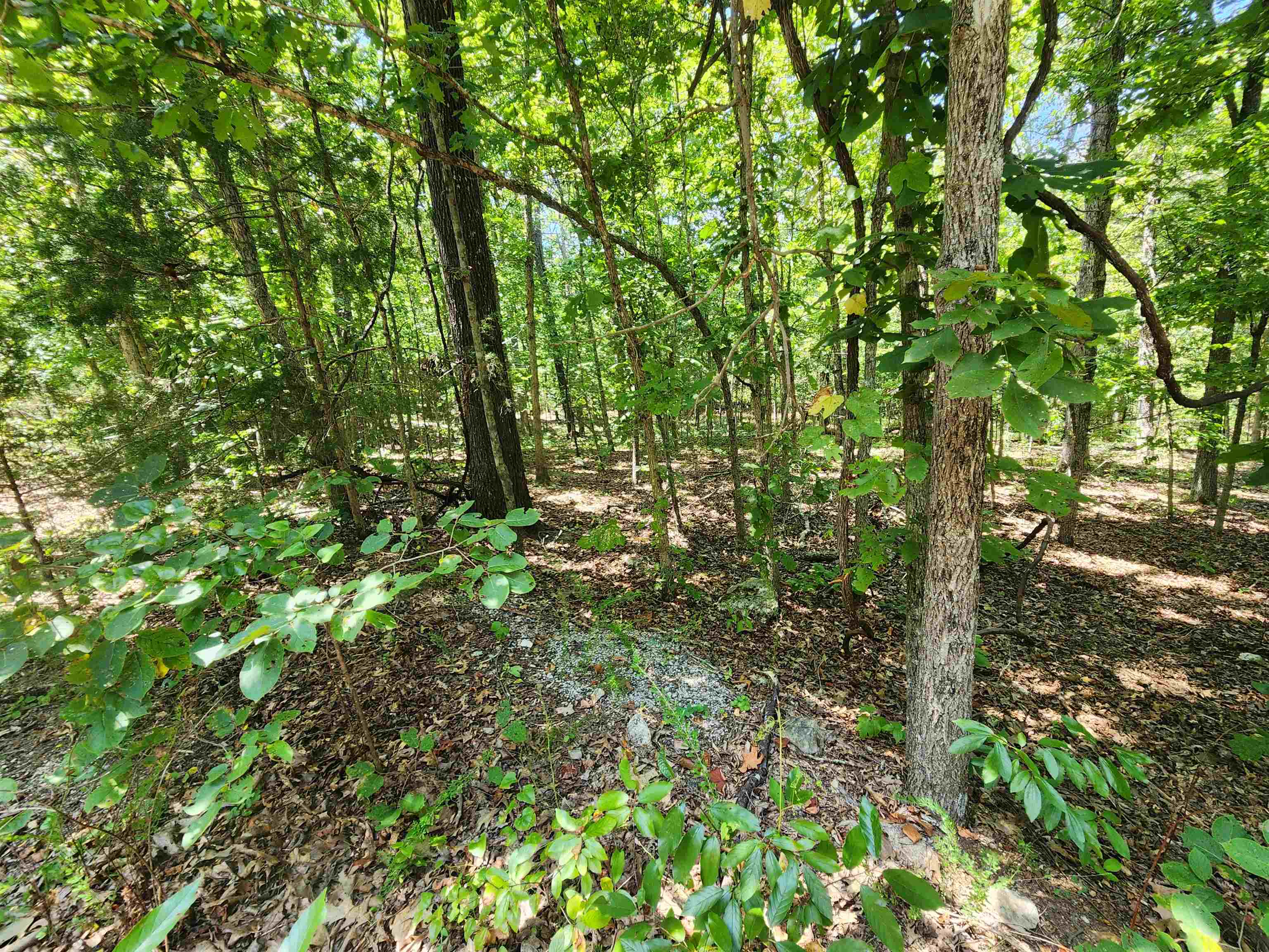 Photo 11 - Vacant Land for sale – L-13, B-6  Calumet   Cherokee Village, AR