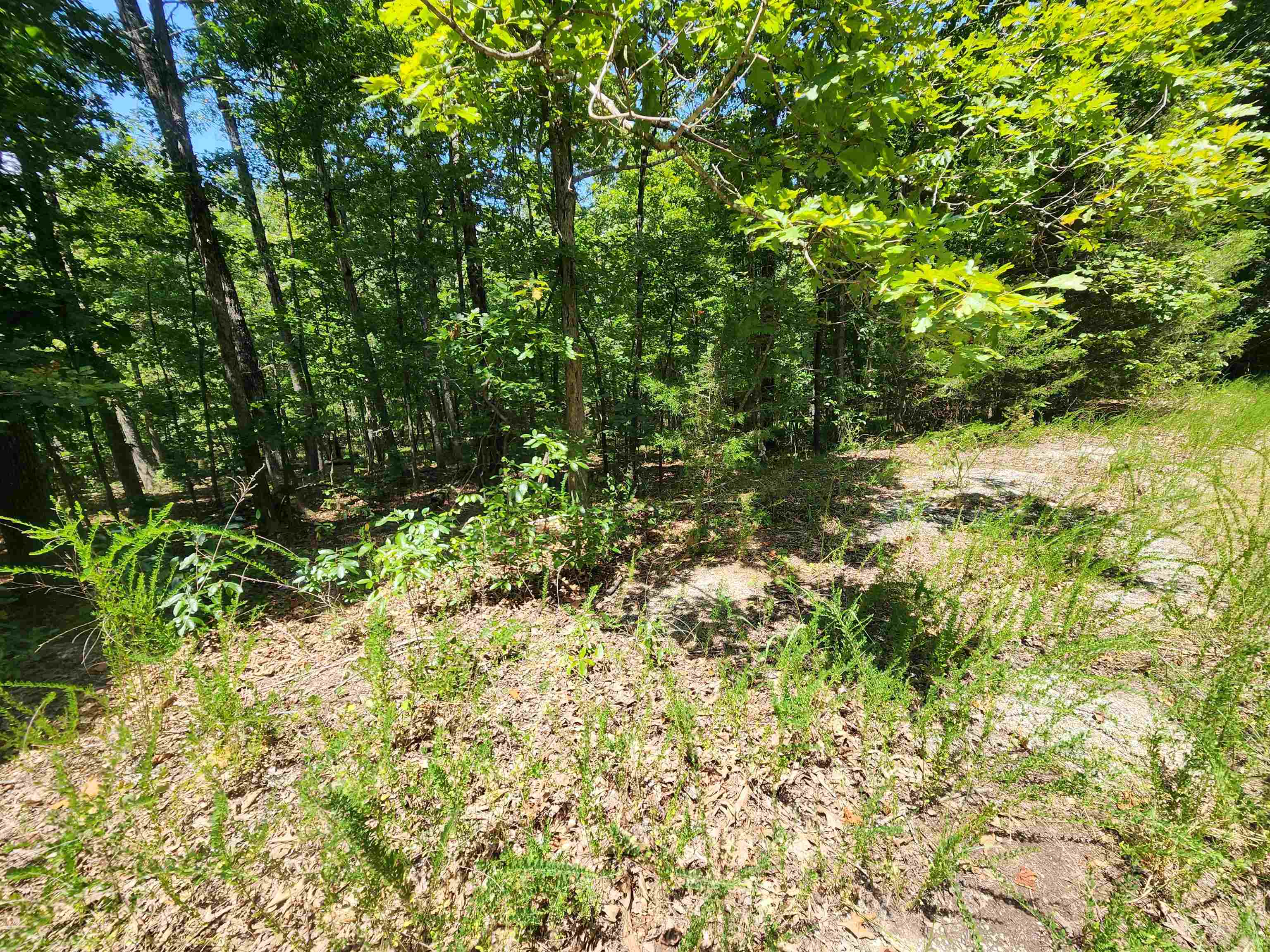 Photo 12 - Vacant Land for sale – L-13, B-6  Calumet   Cherokee Village, AR