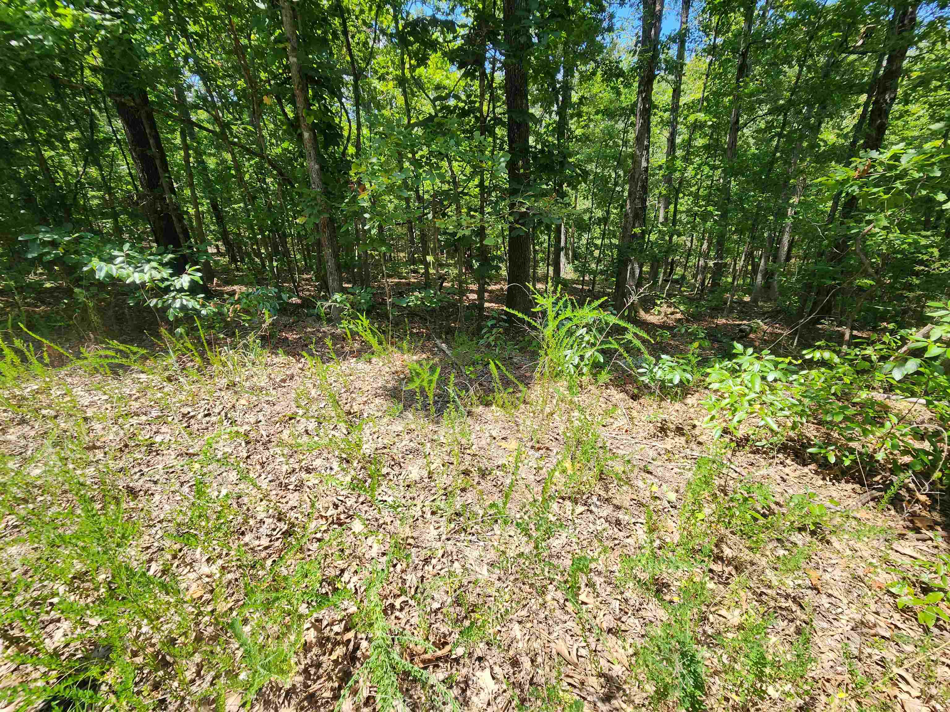 Photo 13 - Vacant Land for sale – L-13, B-6  Calumet   Cherokee Village, AR