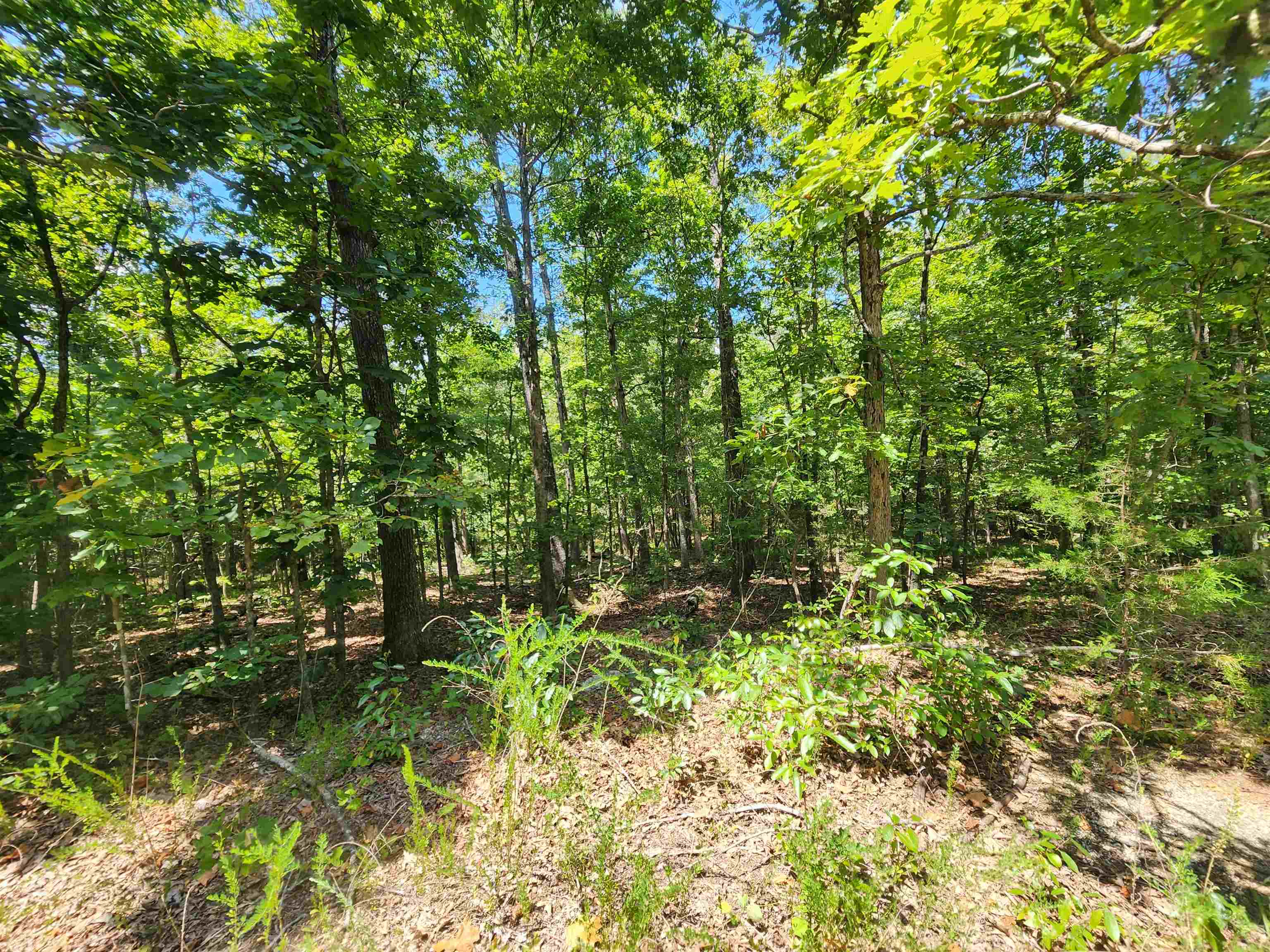 Photo 14 - Vacant Land for sale – L-13, B-6  Calumet   Cherokee Village, AR